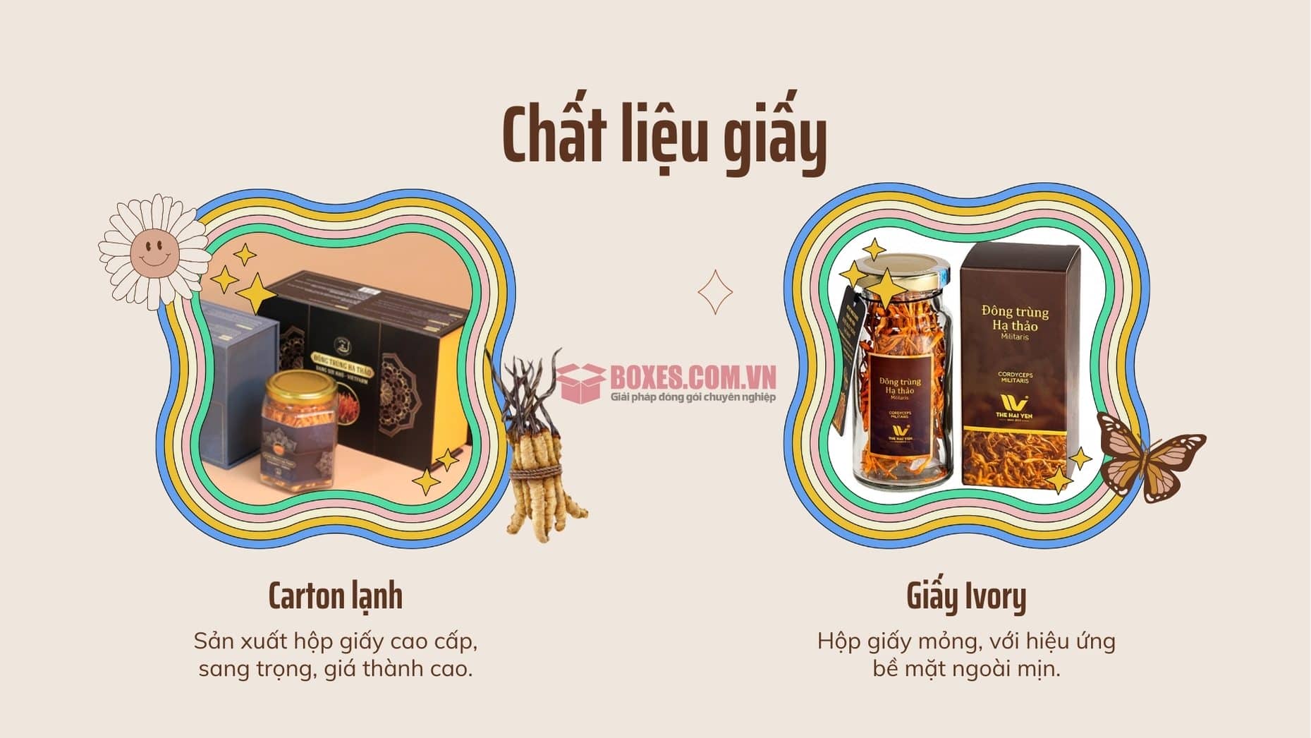 2 chất liệu là ra hộp đựng đông trùng hạ thảo