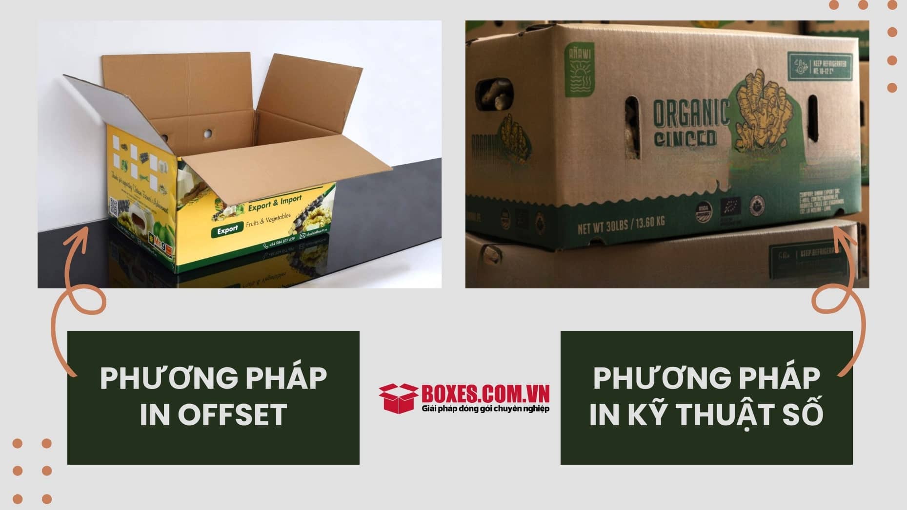 2 Kỹ thuật in được sử dụng để in thùng carton đựng gừng độc đáo