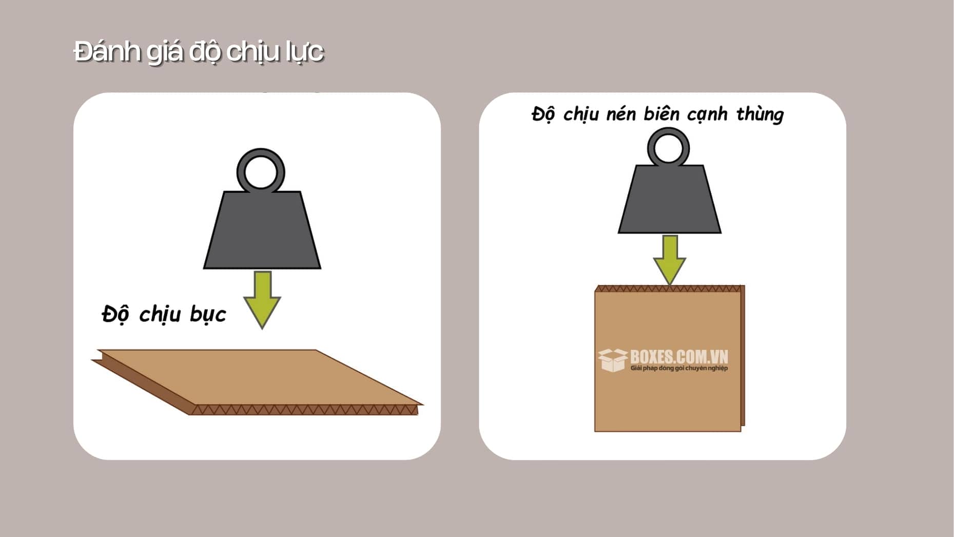 2 trên 5 yếu tố để đánh giá độ chịu lực thùng carton