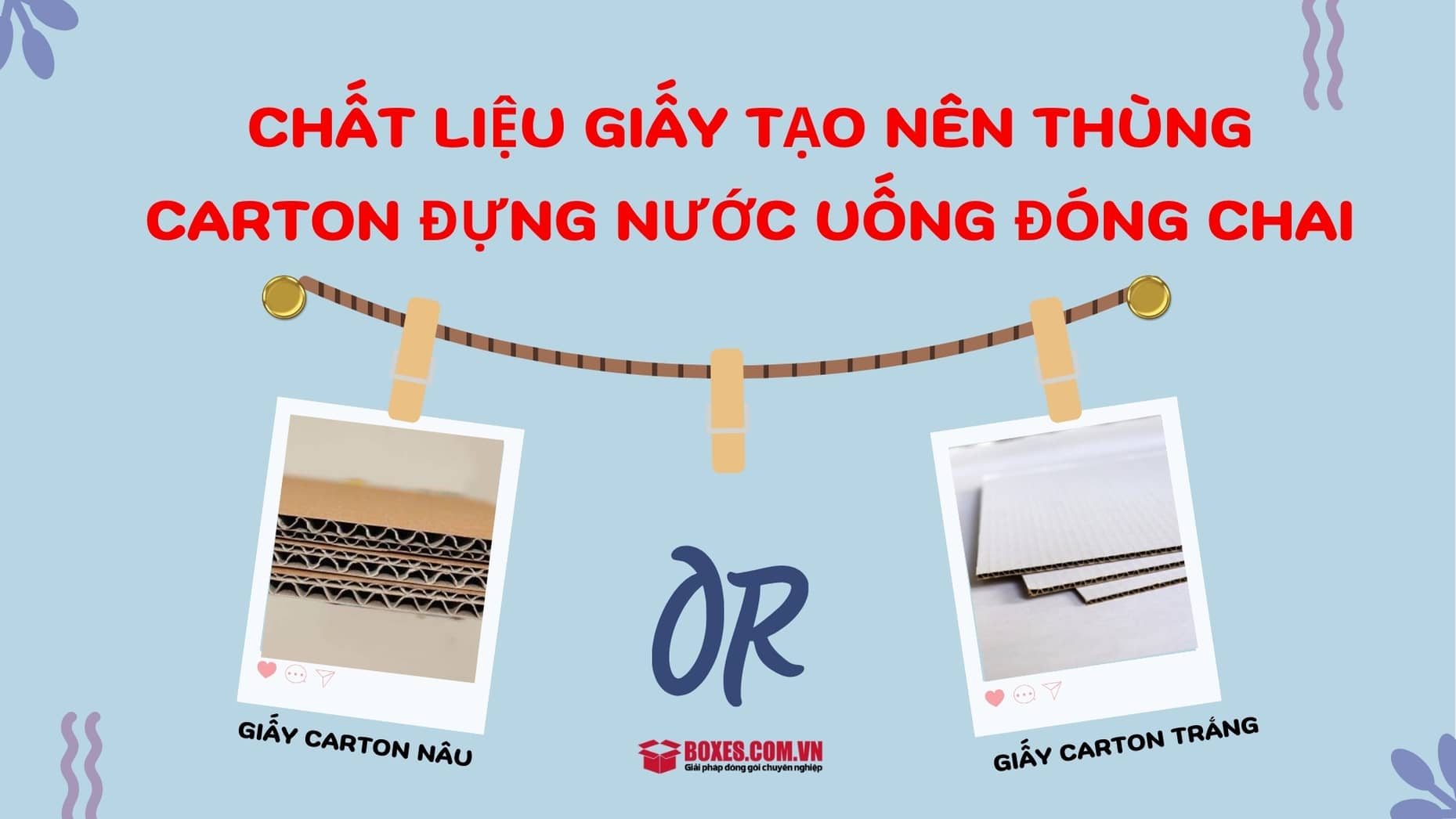 Bạn có thể chọn giấy carton màu trắng hoặc nâu