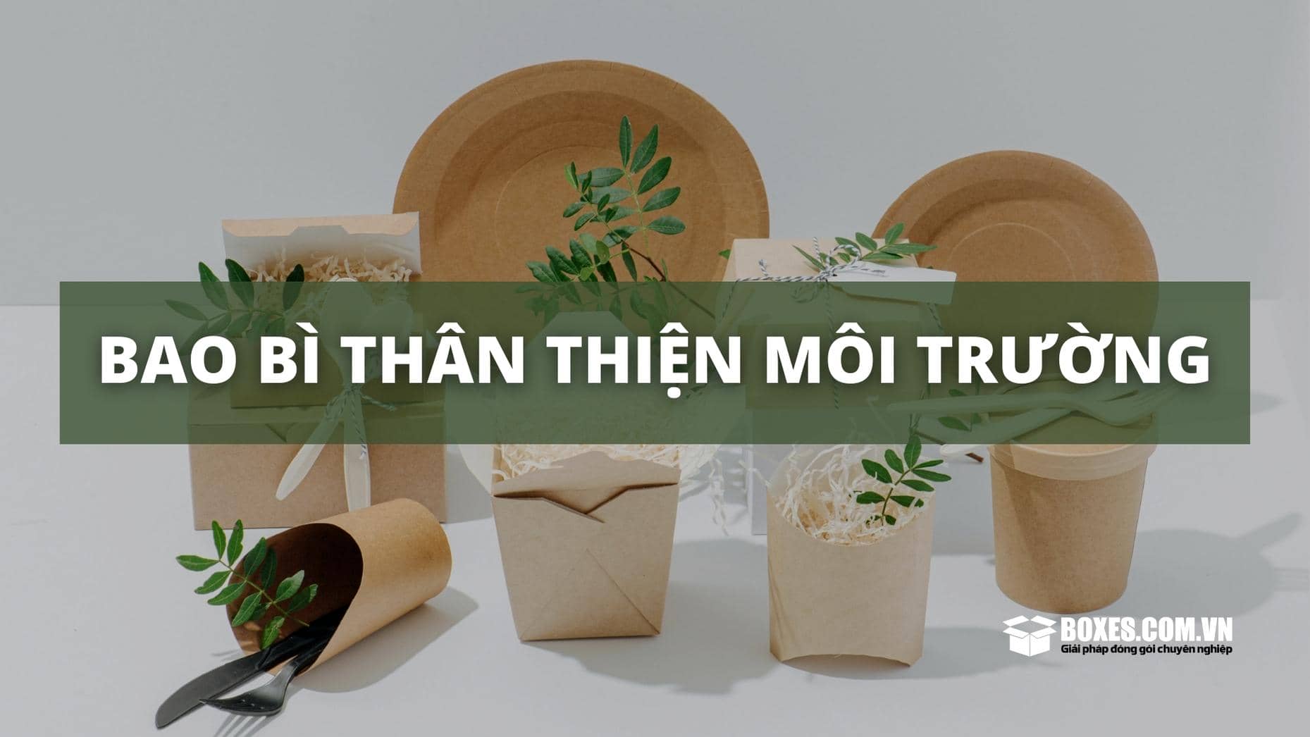 Bao bì thân thiện môi trường là gì?