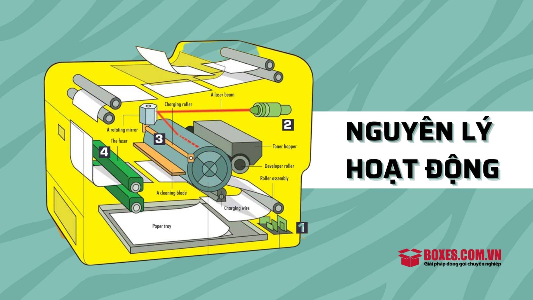 Bộ máy hoạt động của máy in laser