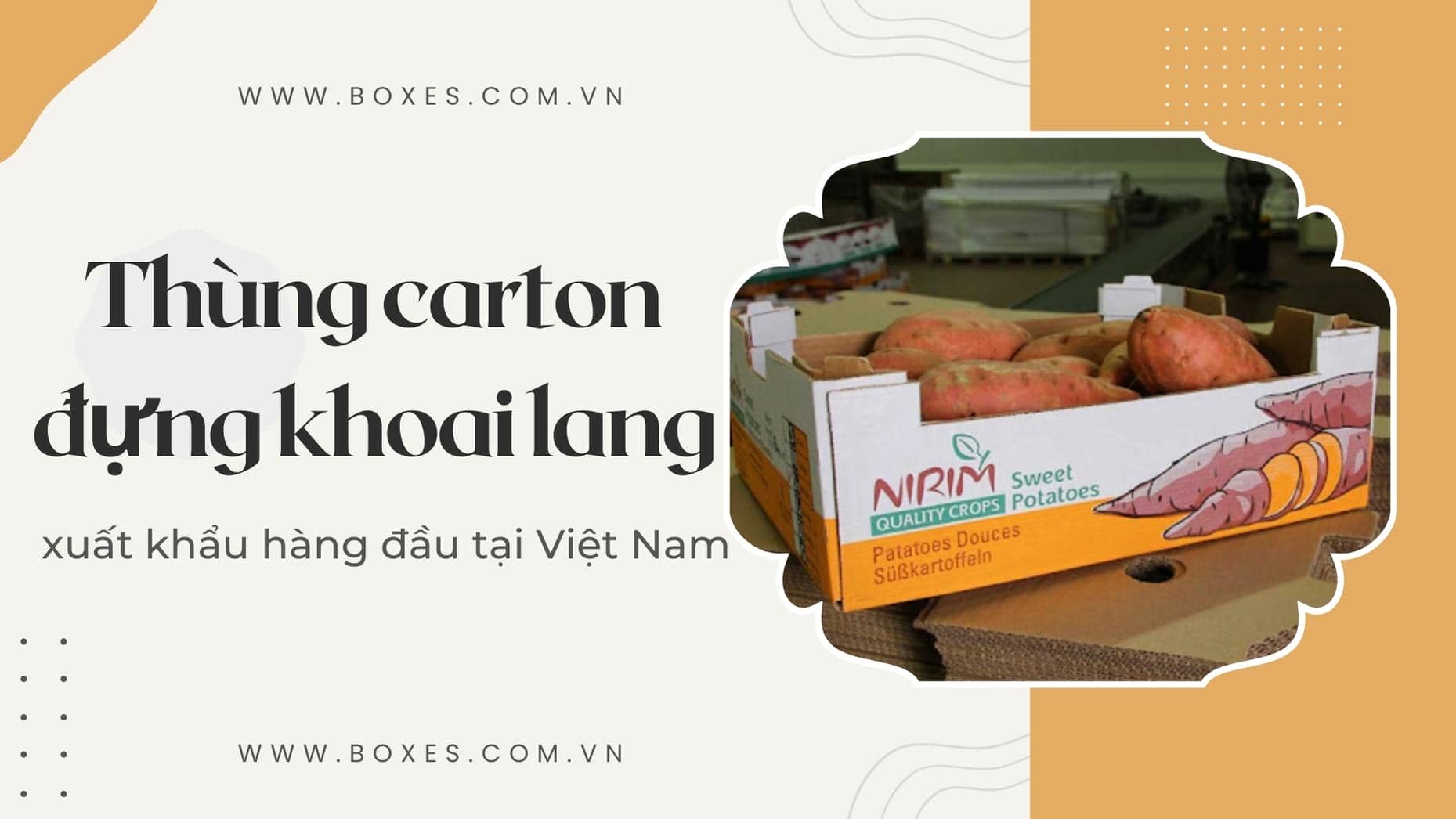 Boxes Việt Nam - Đơn vị sản xuất thùng carton đựng khoai lang xuất khẩu hàng đầu tại Việt Nam