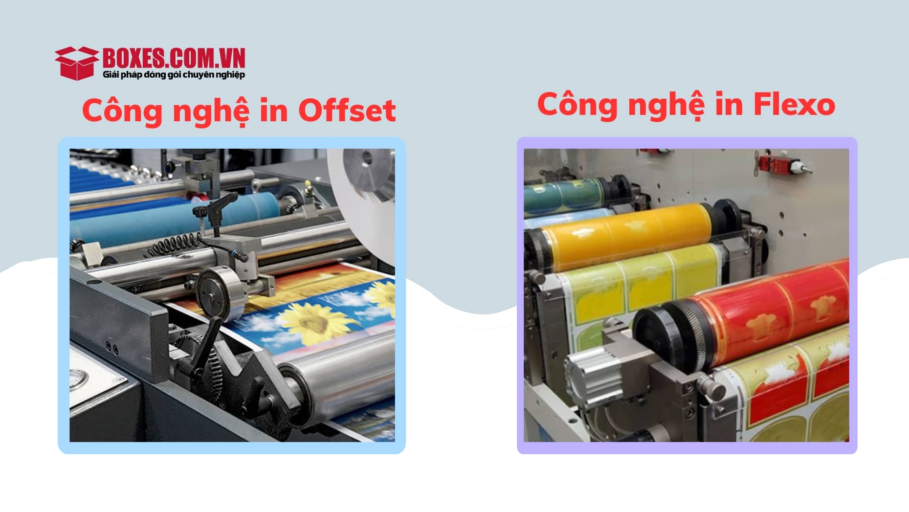 2 Công nghệ in hộp giấy được sử dụng phổ biến hiện nay