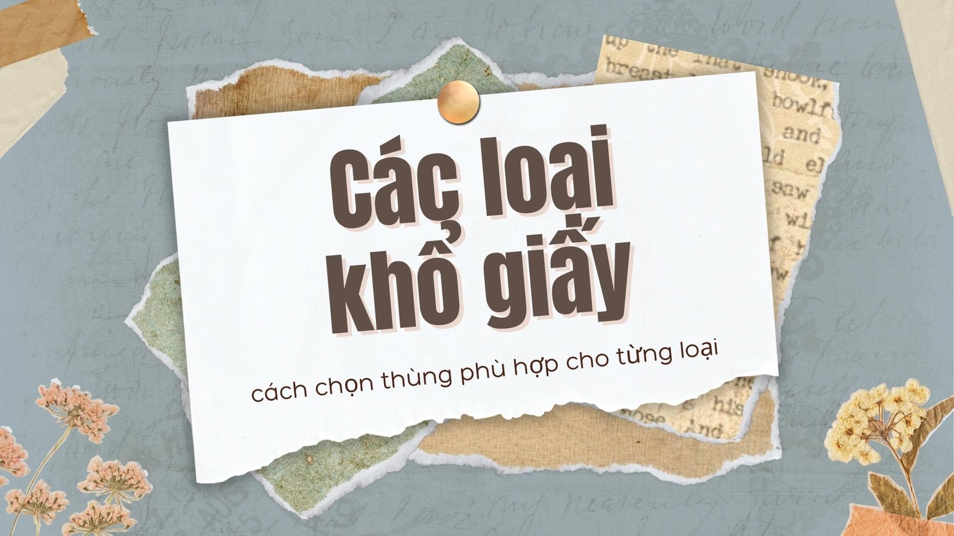 Các loại khổ giấy phổ biến và cách chọn thùng phù hợp cho từng loại