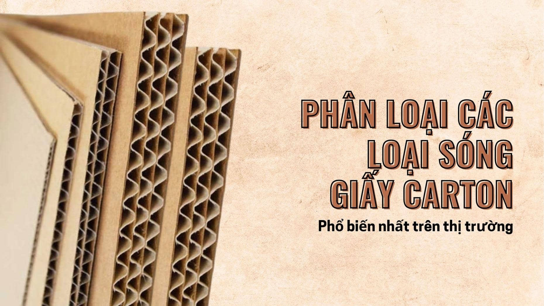 Cách phân loại các loại sóng giấy carton qua đặc điểm của chúng