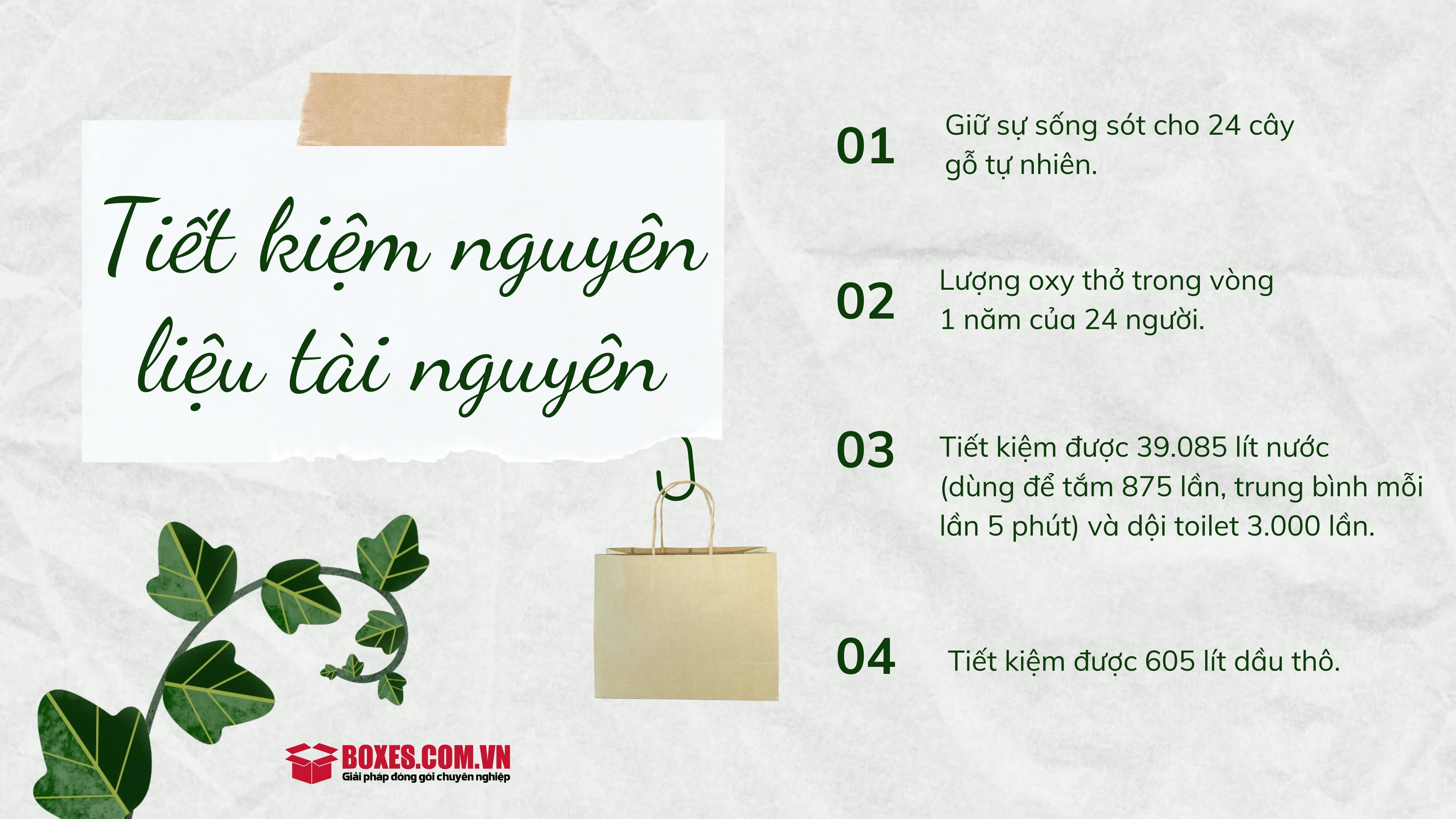 Cách tái chế túi giấy giúp tiết kiệm tài nguyên một cách đáng kể