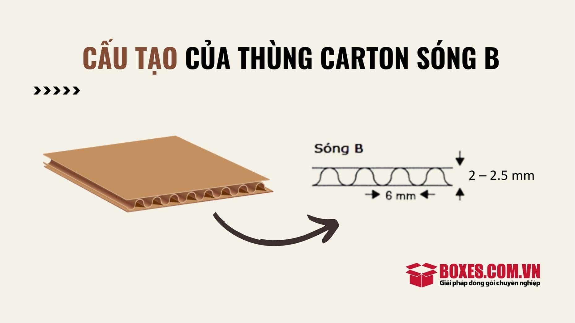 Cấu tạo carton sóng b