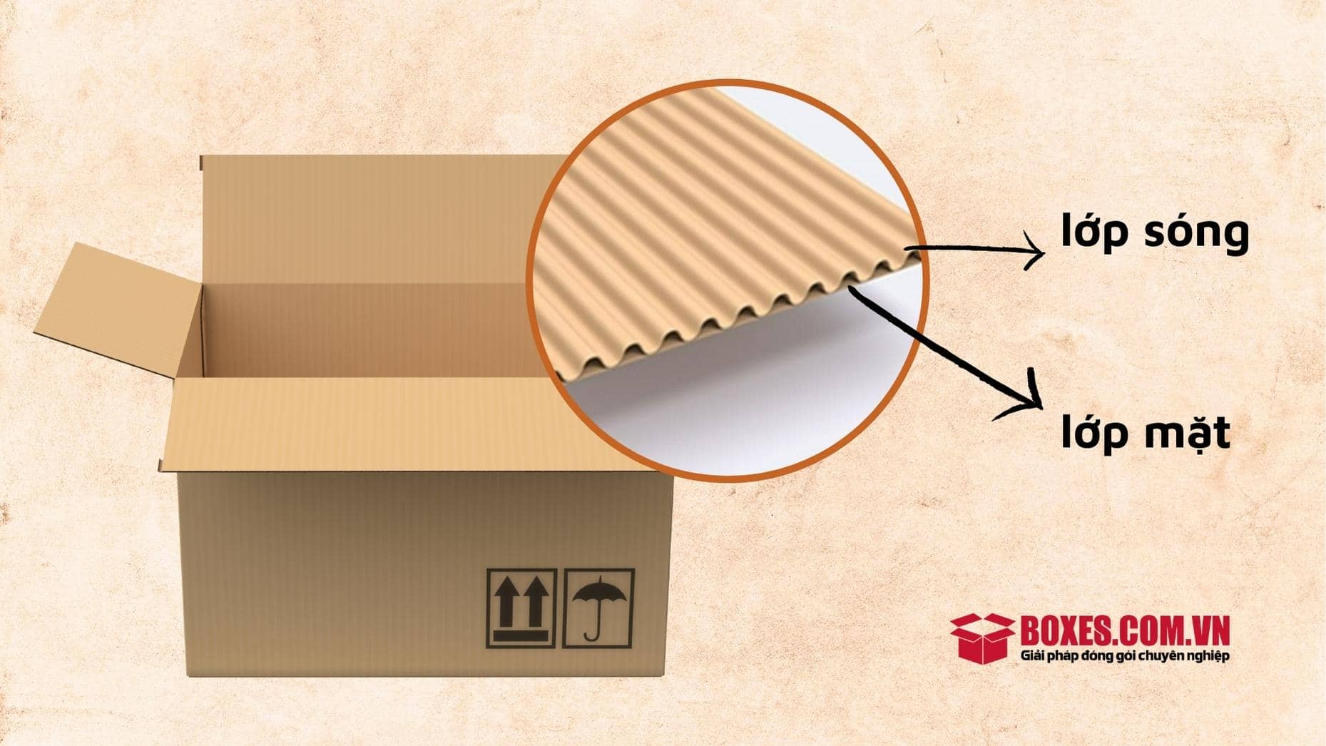 Cấu tạo của thùng carton