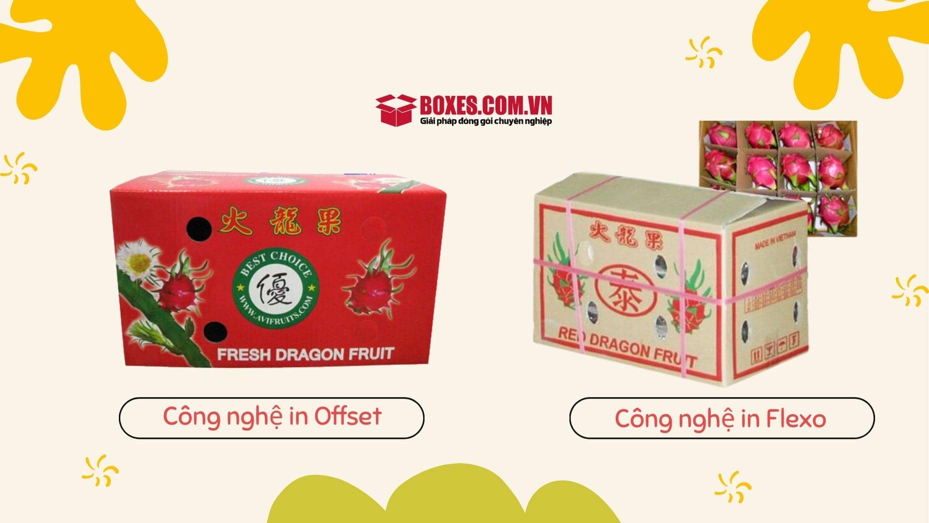 Công nghệ in Offset, Flexo được sử dụng để in thùng carton đựng thanh long