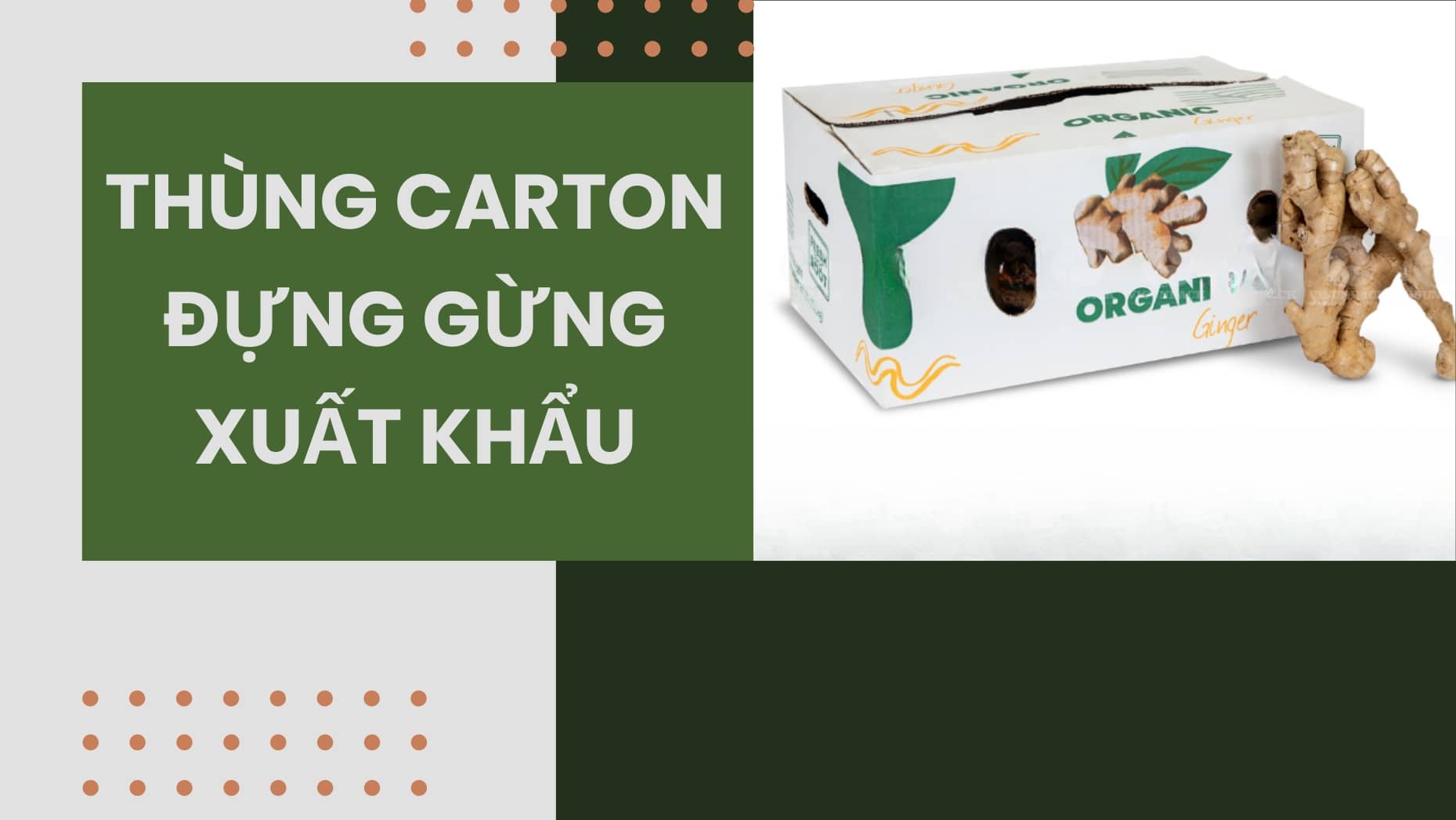 Cùng tìm hiểu về thùng carton đựng gừng xuất khẩu bảo vệ sản phẩm luôn tươi 