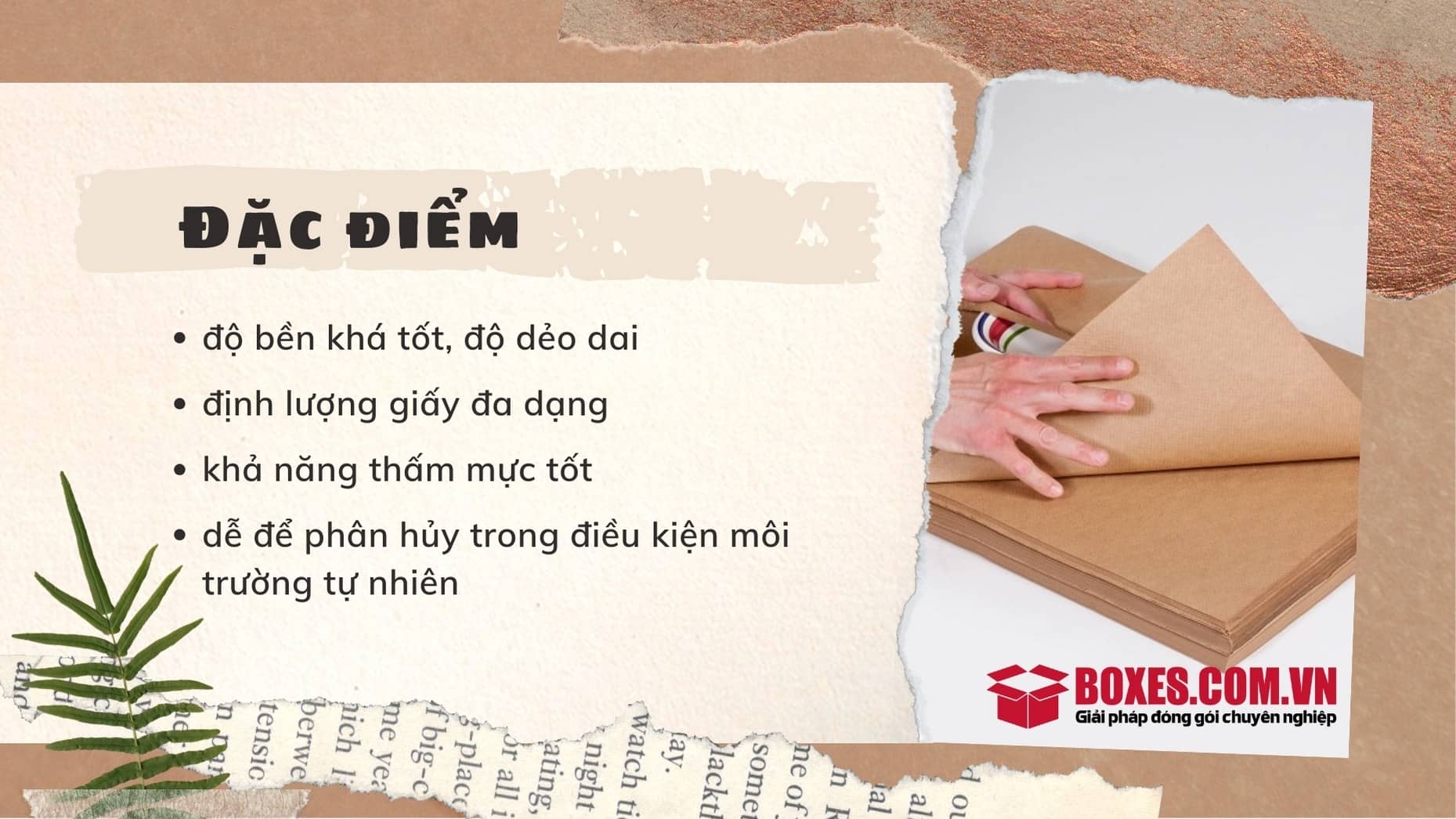 Đặc điểm của các loại giấy Kraft