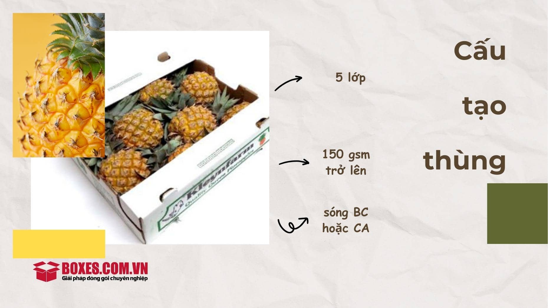 Đặc điểm thùng giấy đựng khóm