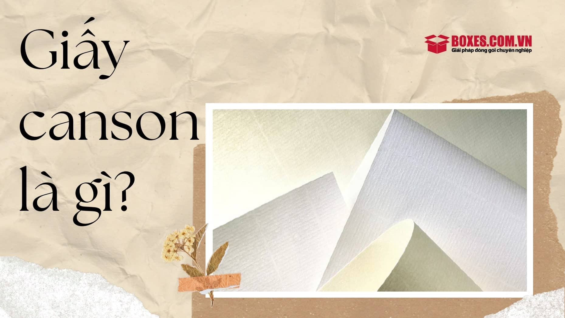 Giấy canson là gì? Hãy cùng Boxes Việt Nam tìm hiểu