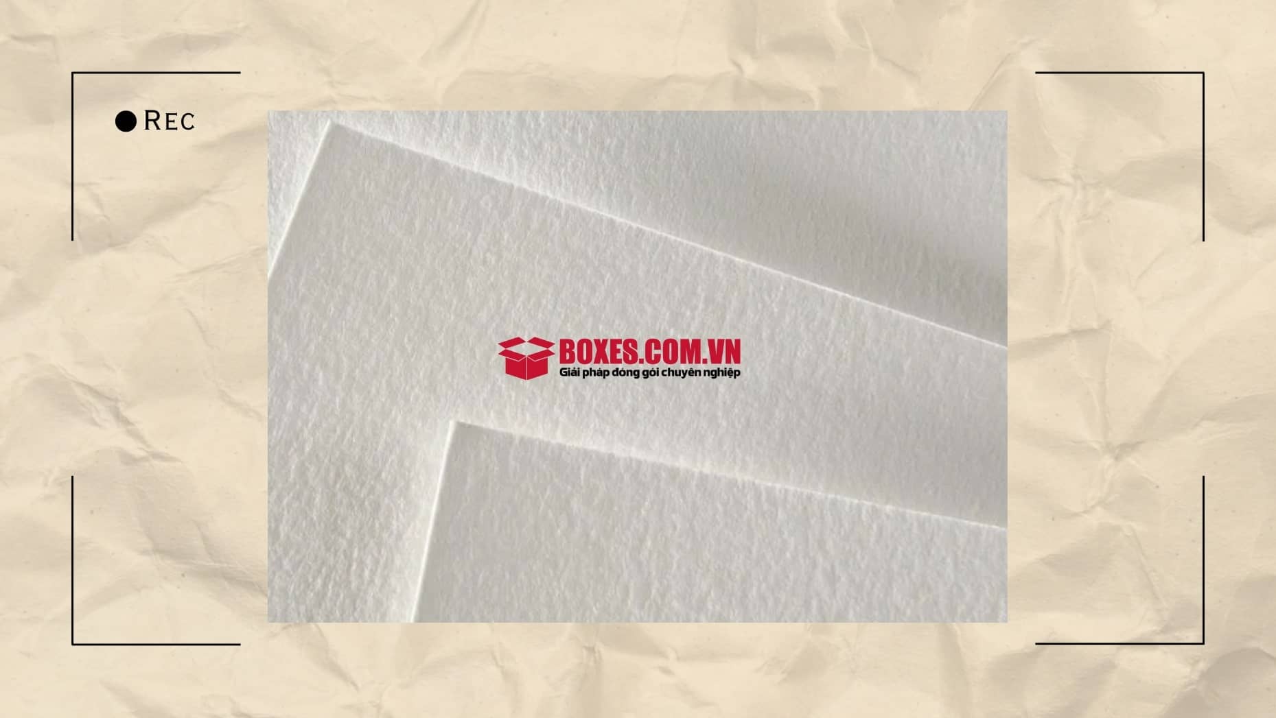 Giấy canson vân nhám  độc đáo