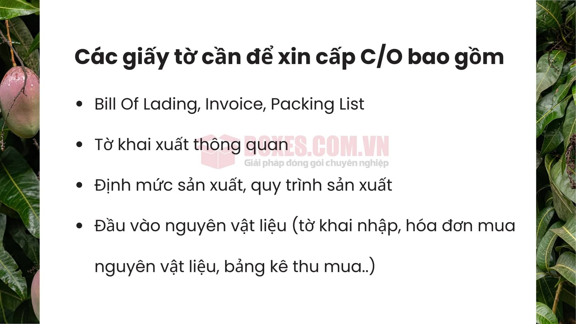 Những giấy tờ cần có để xin cấp giấy chứng nhận C/O