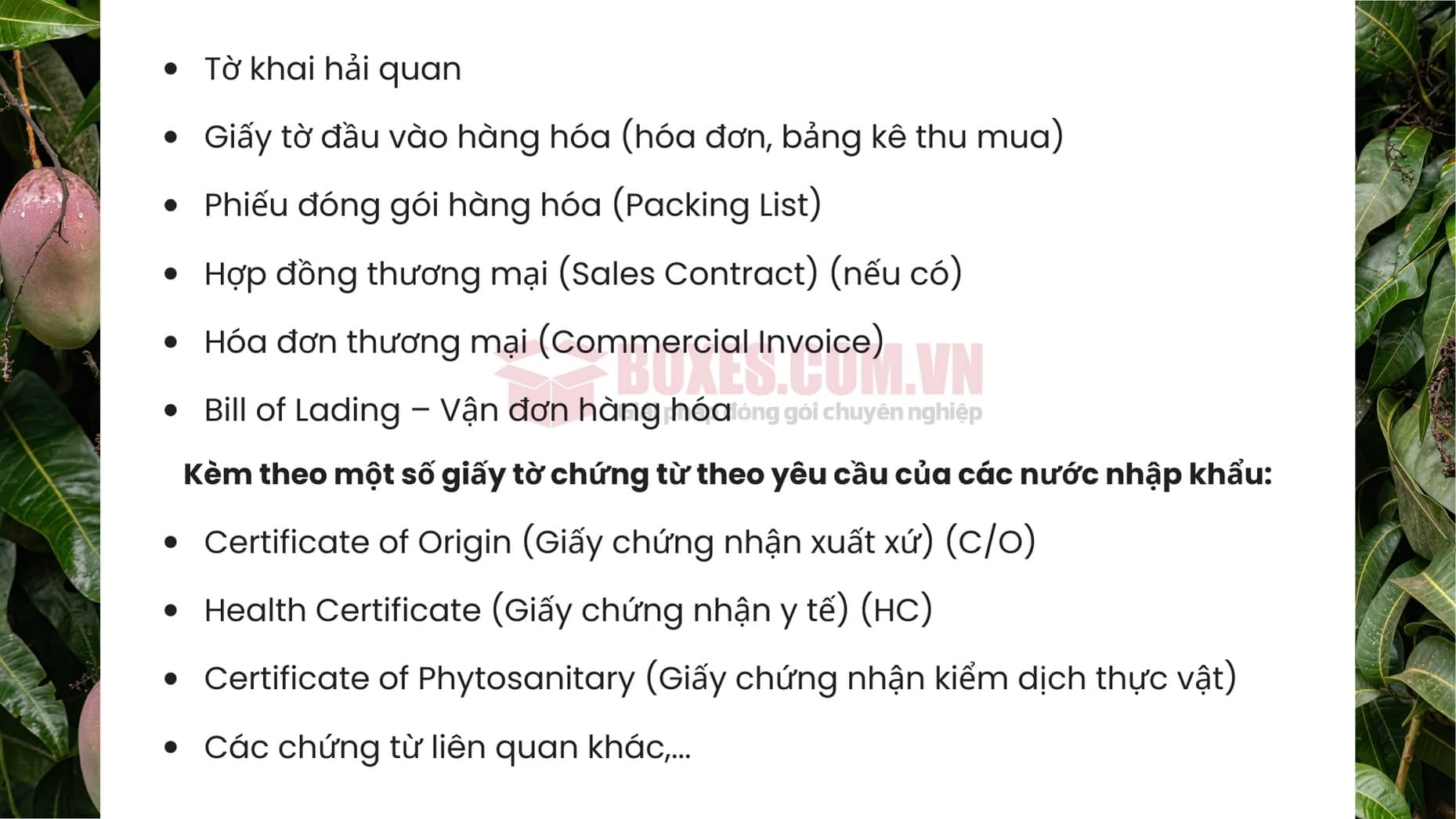 Giấy tờ cần có khi xuất khẩu xoài tươi