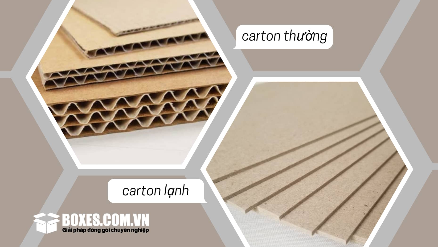 Hai loại carton sử dụng phổ biến