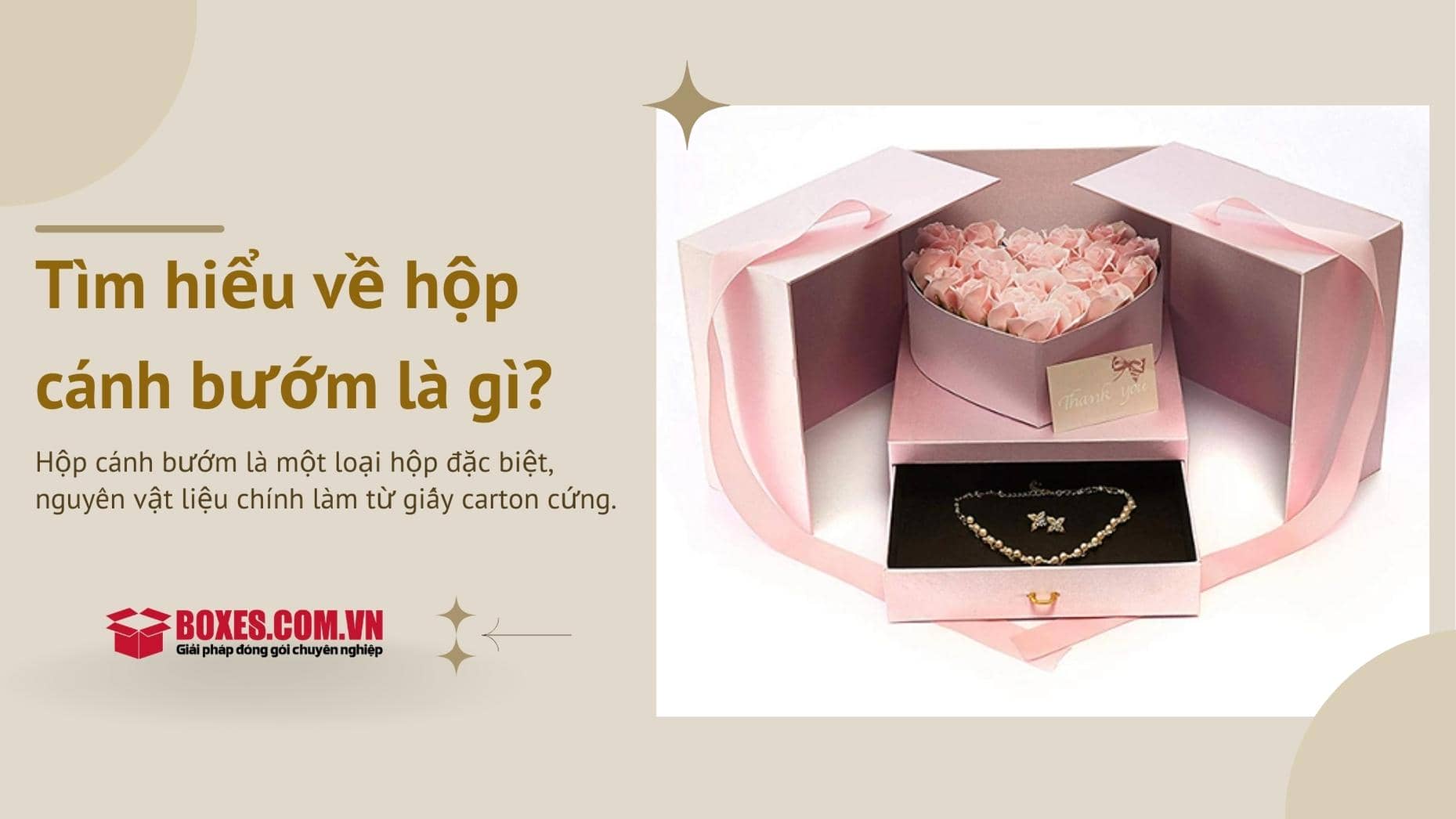 Hộp cánh bướm là gì?