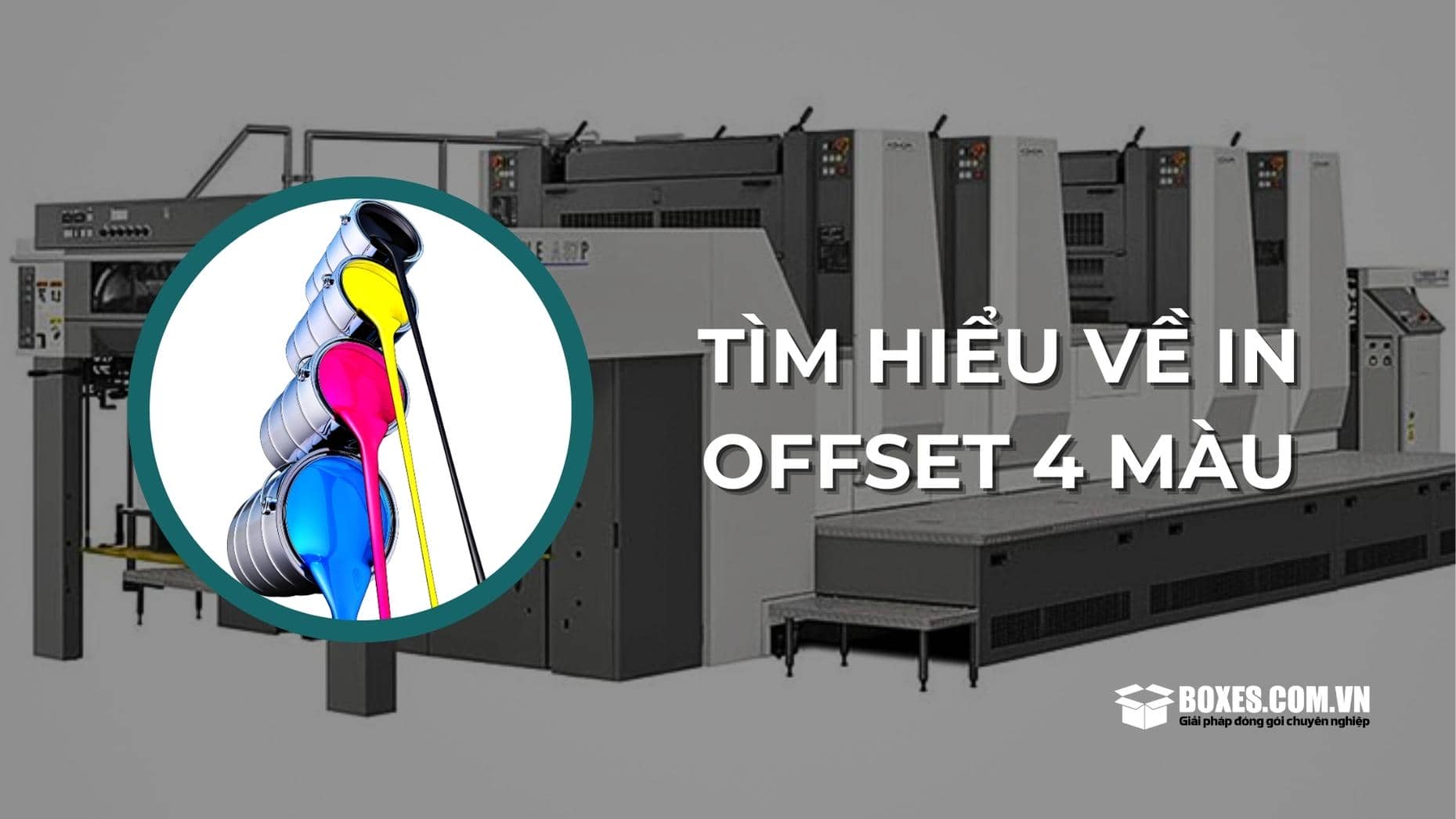 In offset 4 màu là gì? Tại sao chúng lại được ưa chuộng như vậy