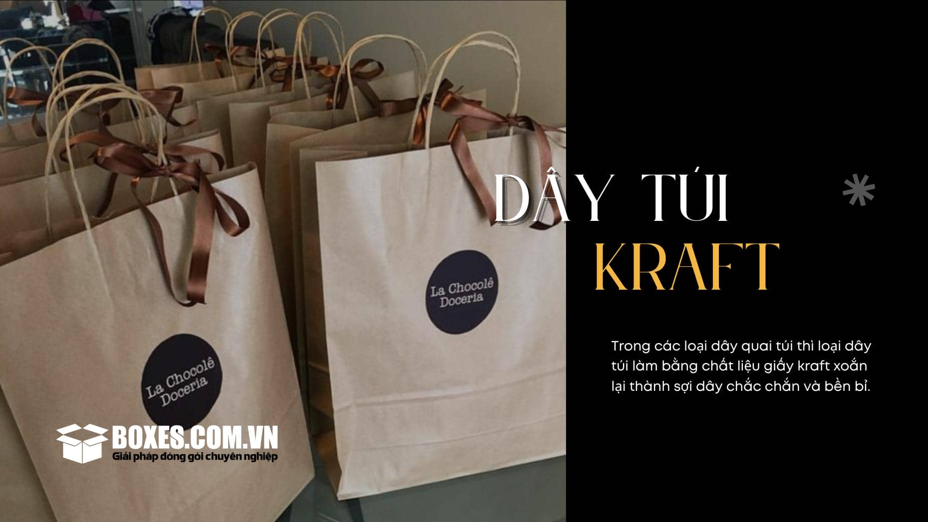 Loại dây túi dạng giấy kraft