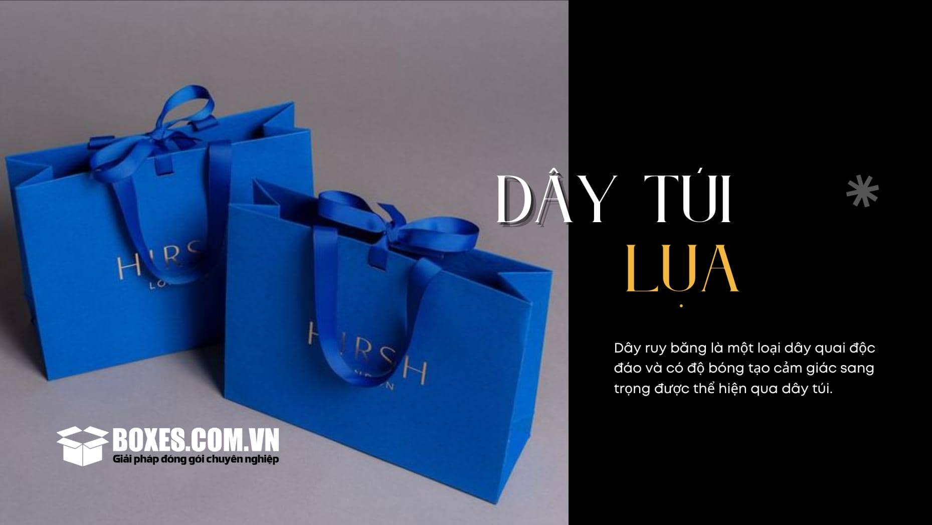 Loại dây túi dạng lụa