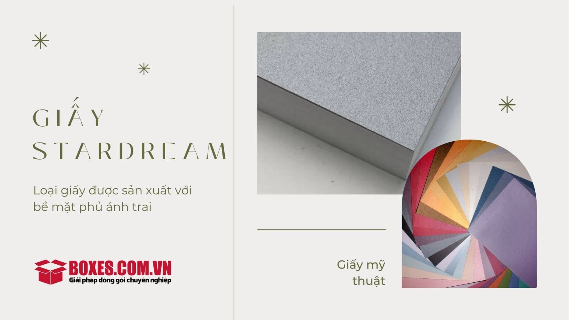 Giấy mỹ thuật Stardream