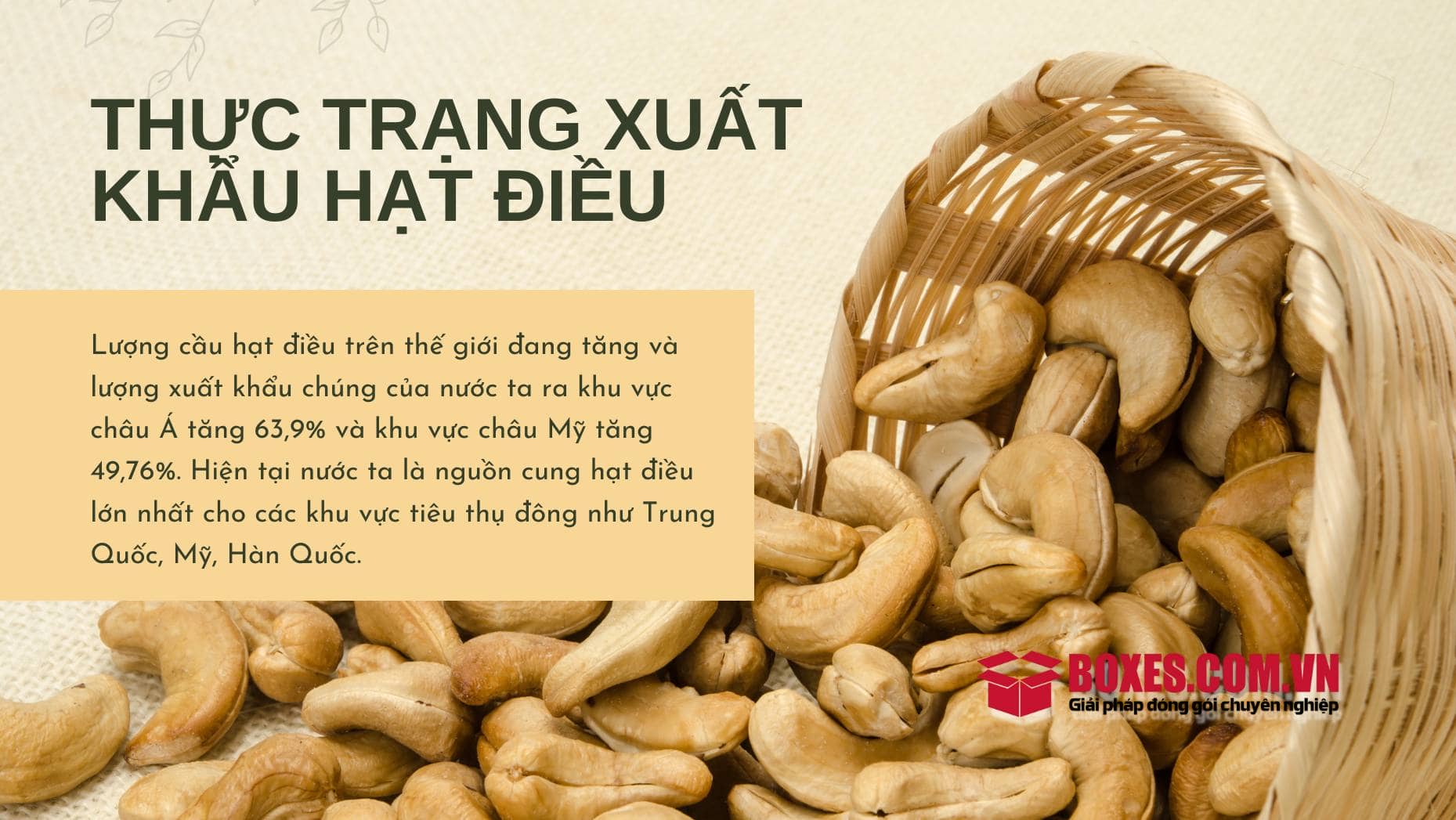 Nguồn cầu trên thị trường quốc tế đang tăng