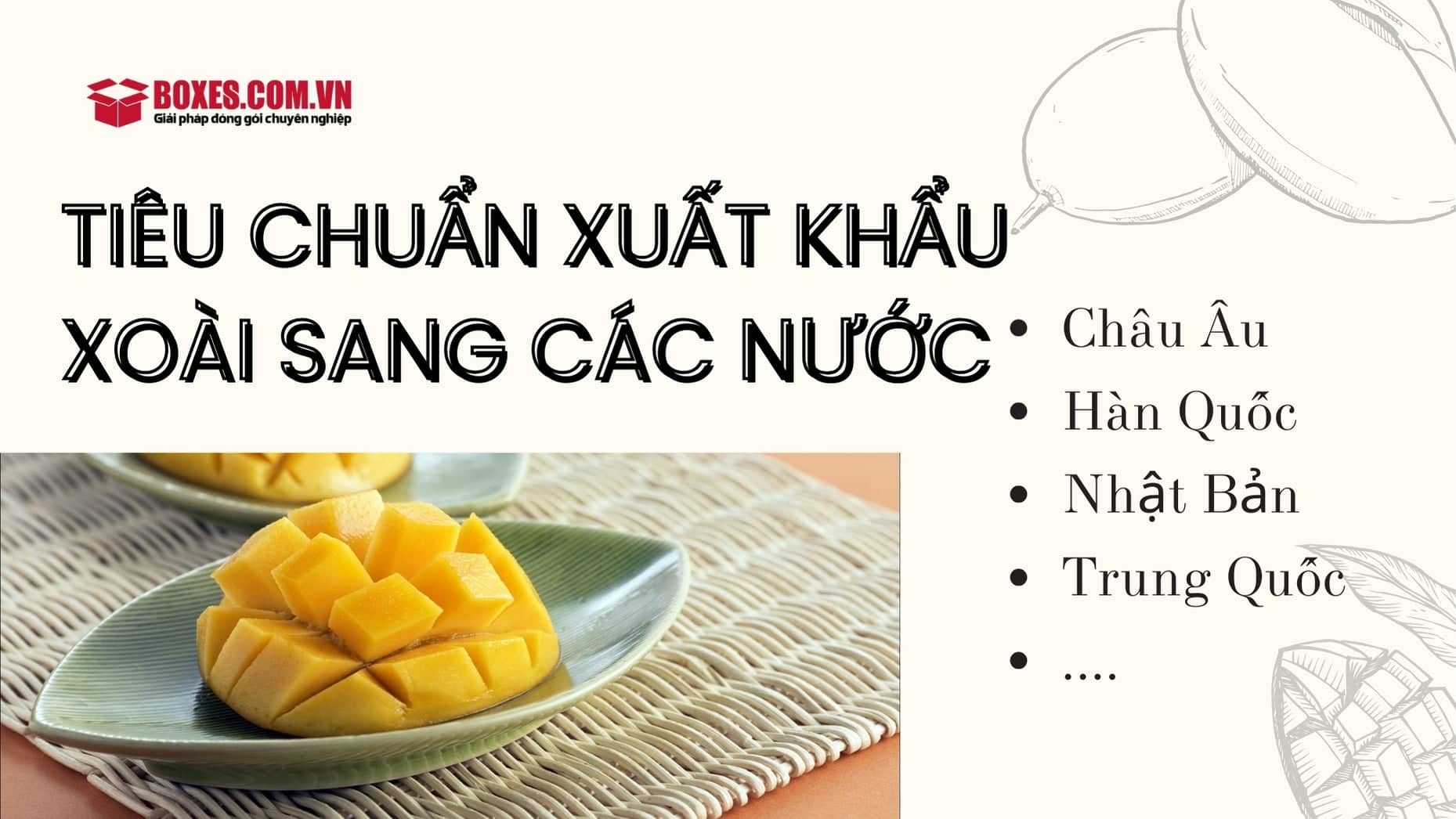 Những tiêu chuẩn bạn cần biết khi xuất khẩu xoài tươi qua các nước