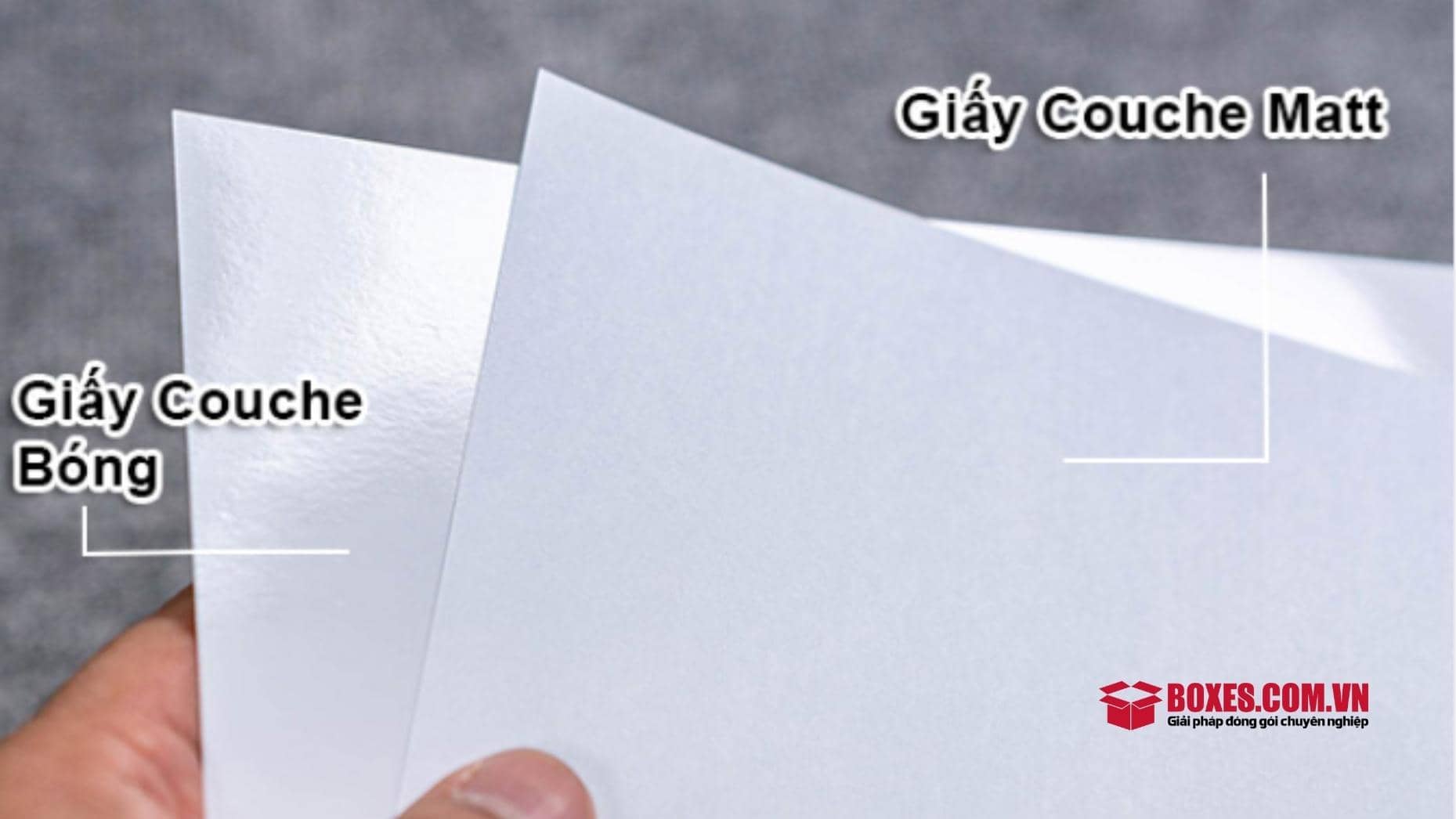Phân biệt giữa giấy Couche gloss và giấy Couche matt
