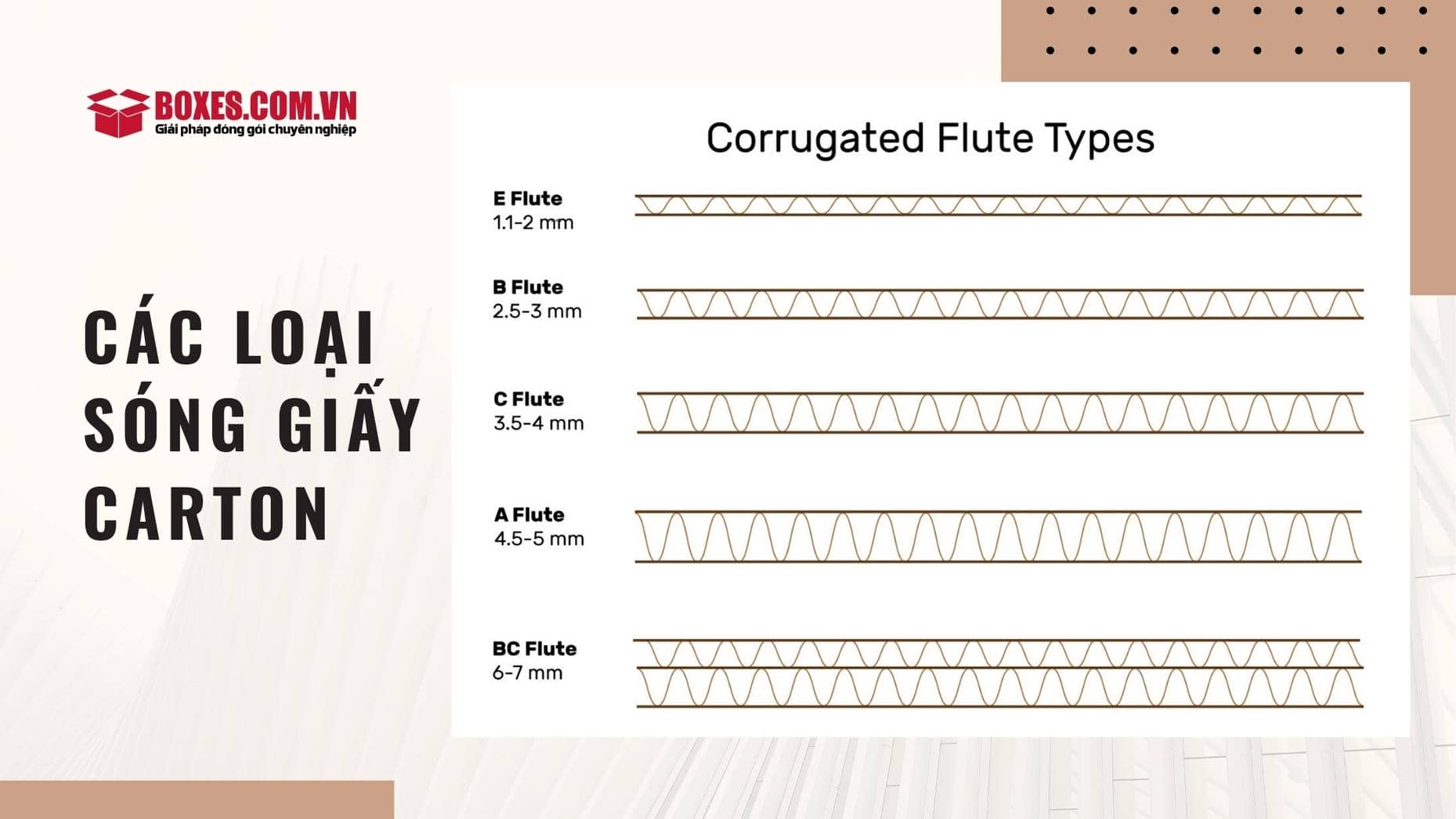 Phân loại cấu trúc giấy carton theo loại sóng