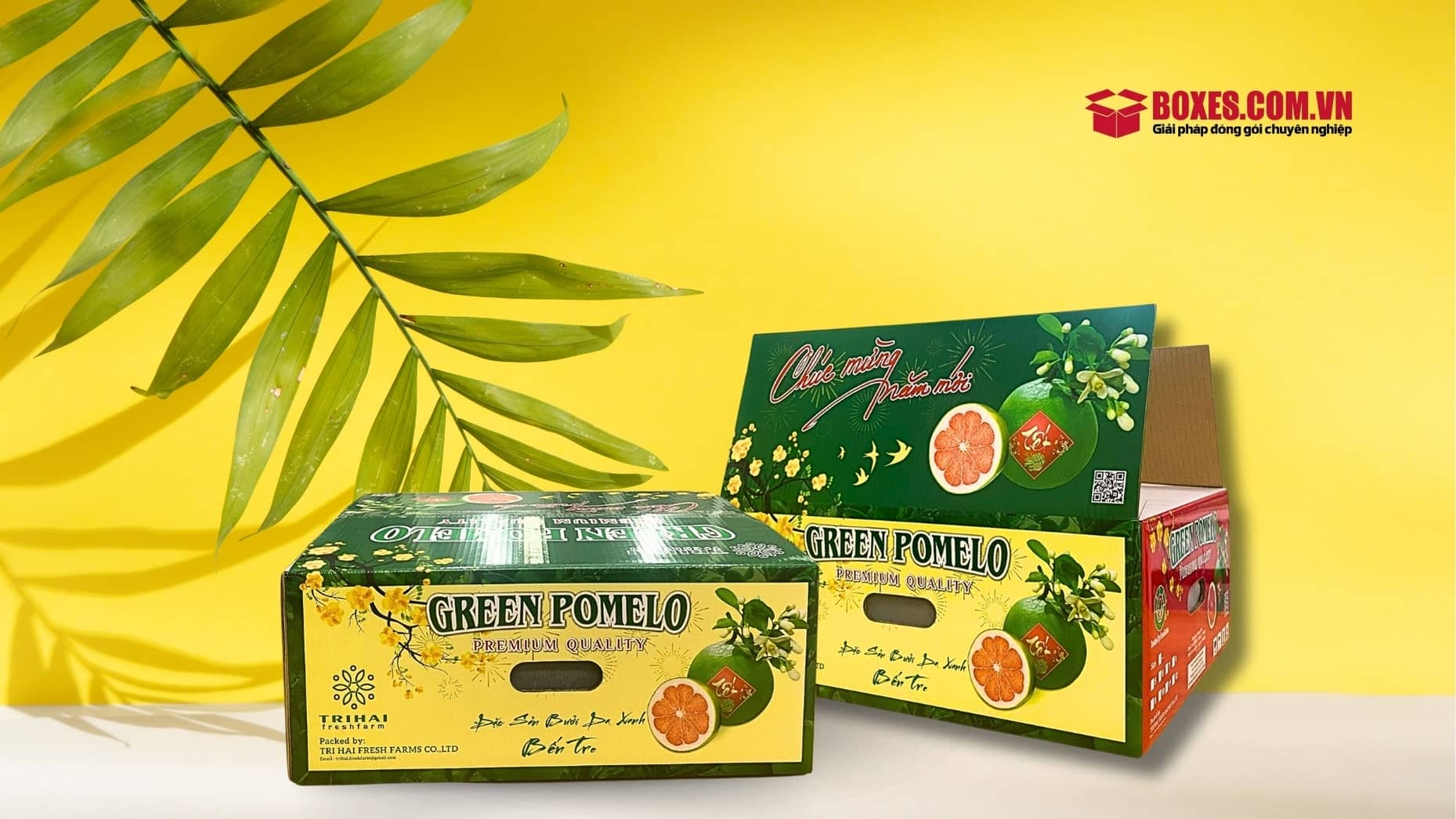 Thùng carton bế lỗ đựng bưởi da xanh dày dặn