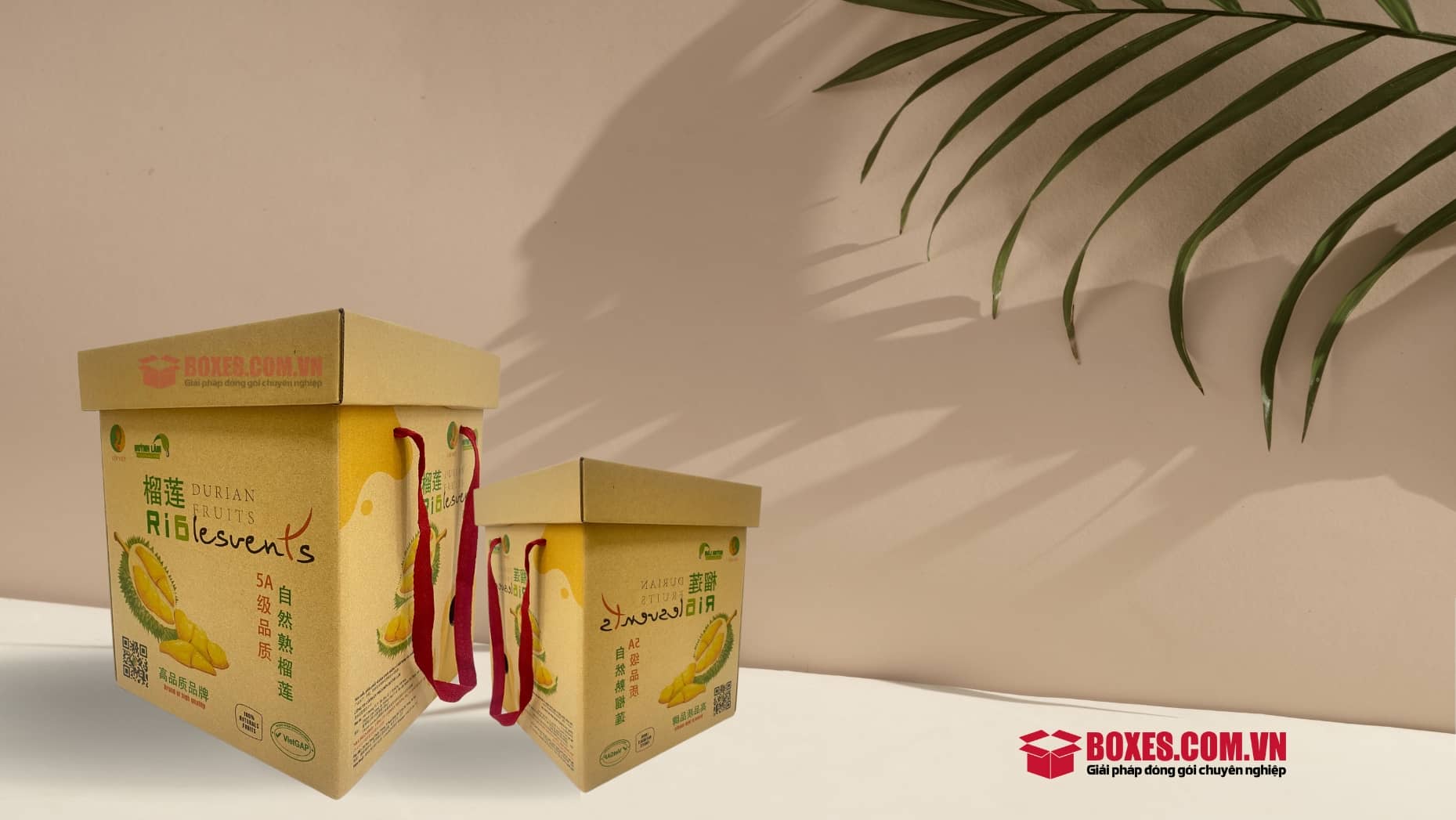 Thùng carton bế lỗ đựng sầu riêng