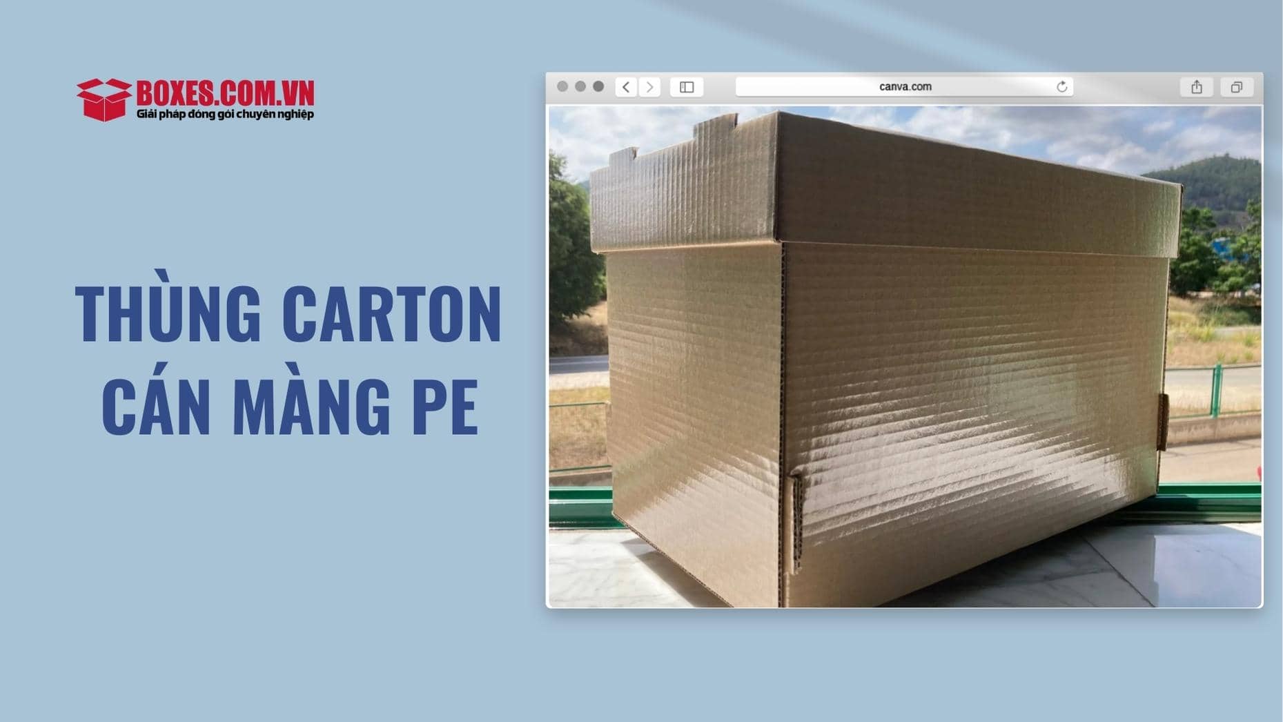Thùng carton cán màng PE là gì?