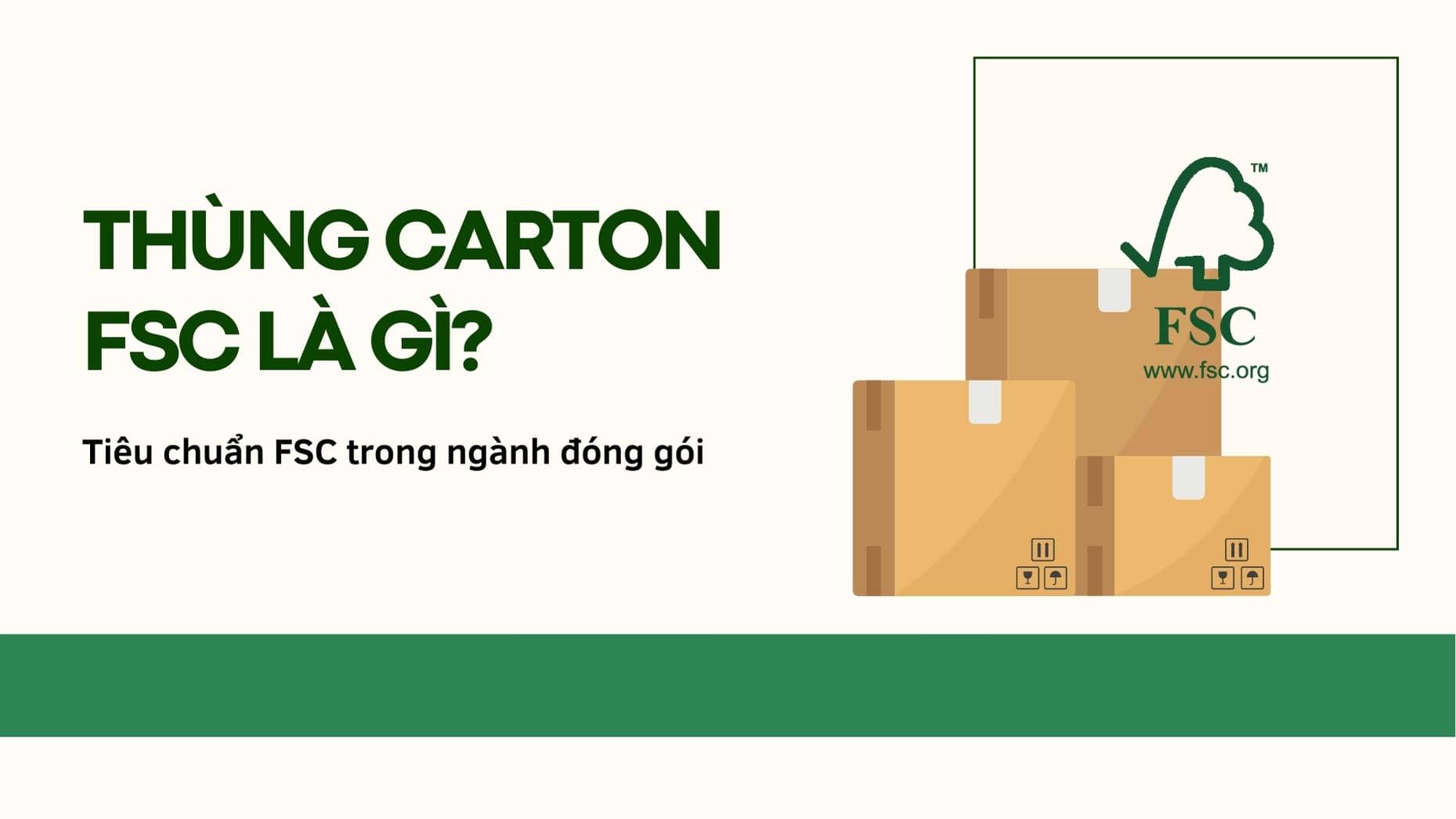 Thùng carton FSC là gì? Tìm hiểu về tiêu chuẩn FSC trong ngành đóng gói