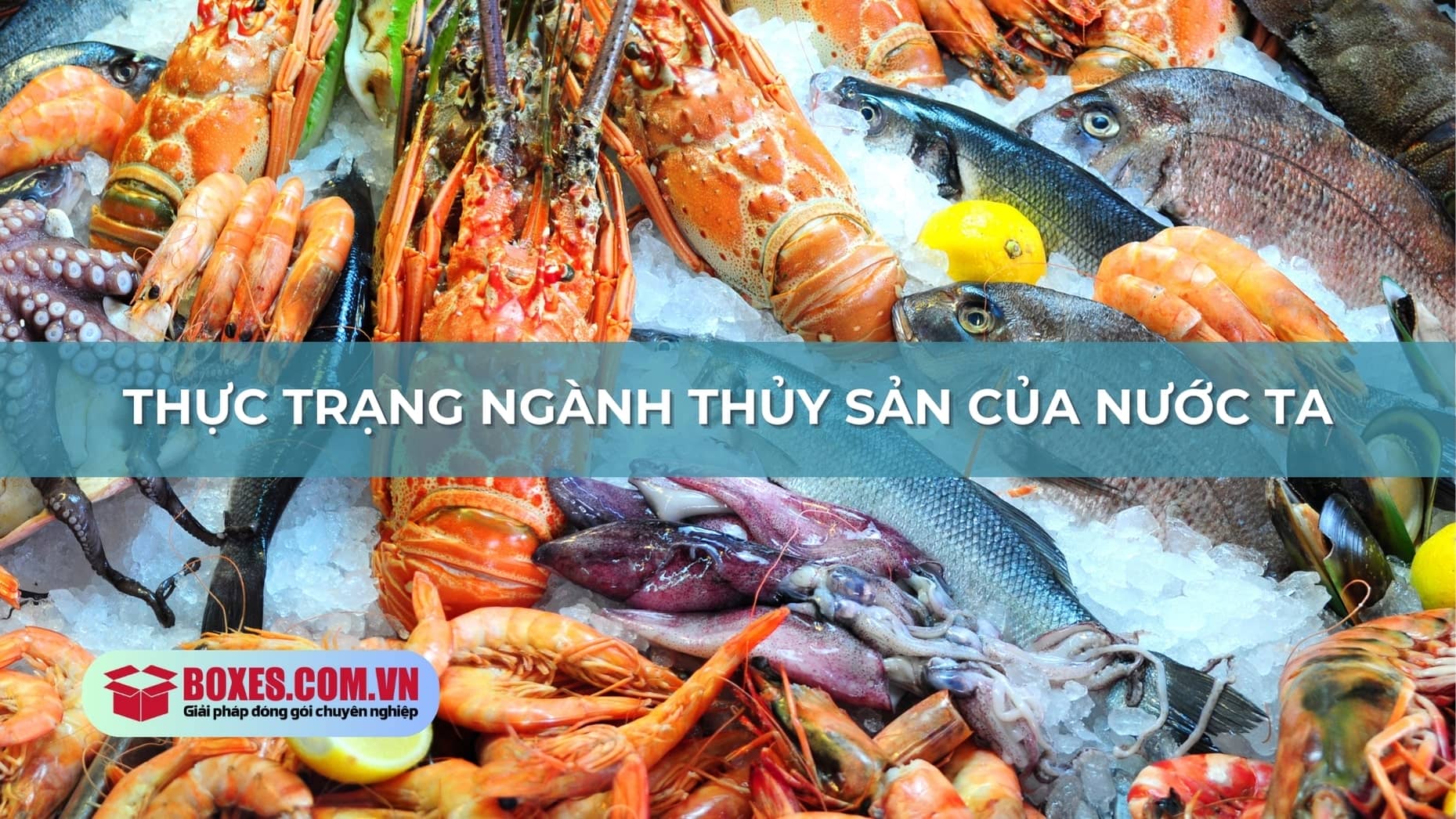 Thủy sản nước ta đang phát triển mạnh mẽ