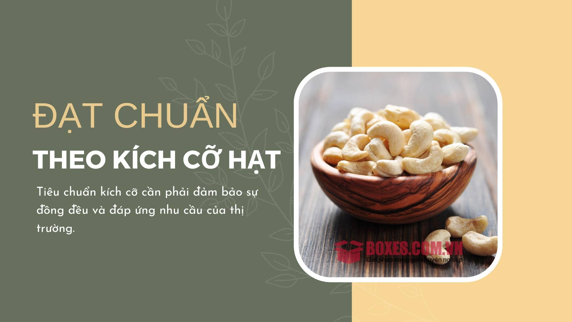 Tiêu chí theo kích cỡ của hạt điều