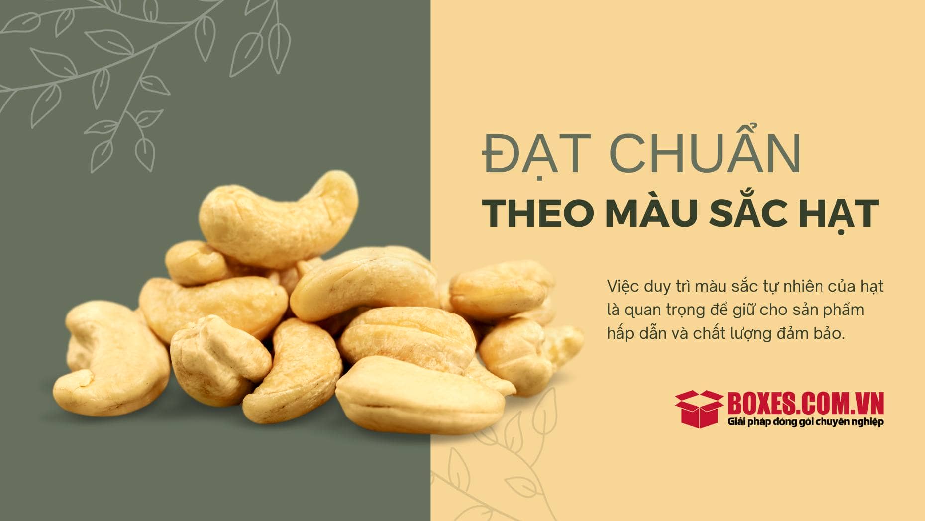 Tiêu chí theo màu sắc của hạt điều