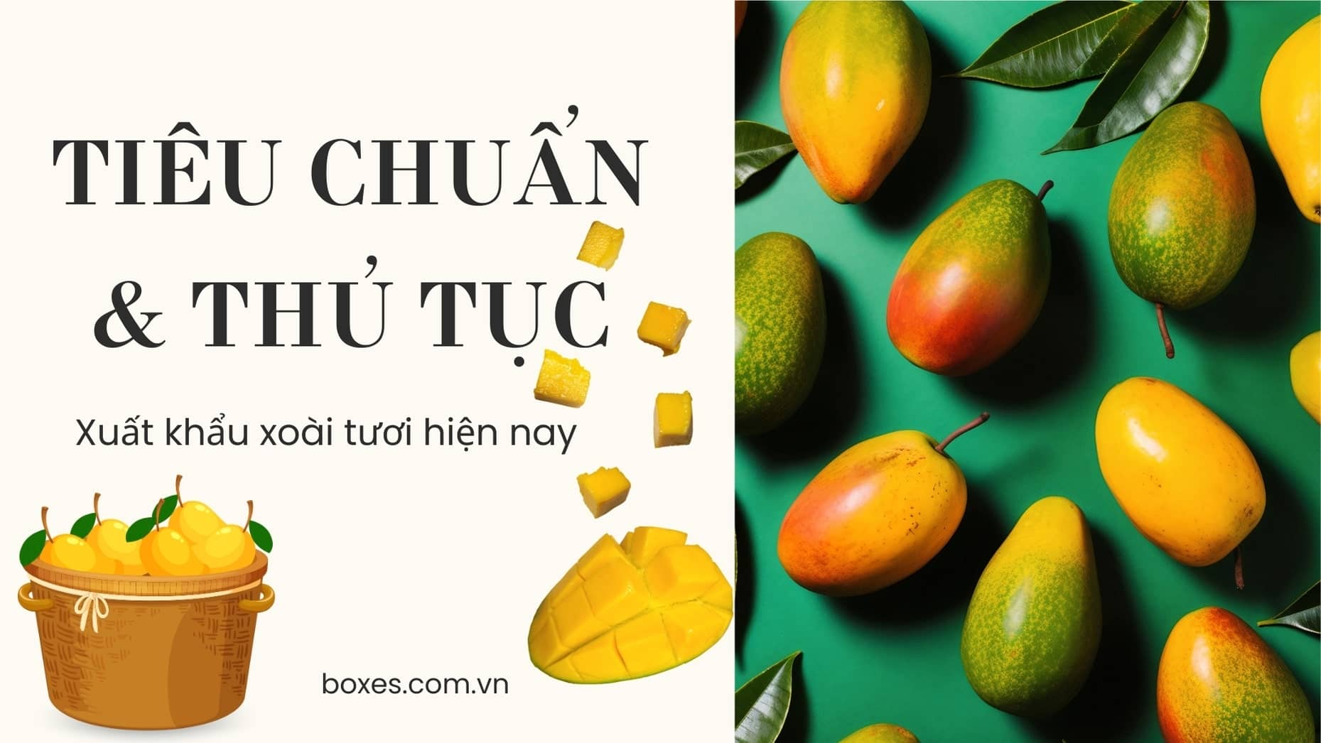 Tiêu chuẩn và Thủ tục xuất khẩu xoài tươi hiện nay