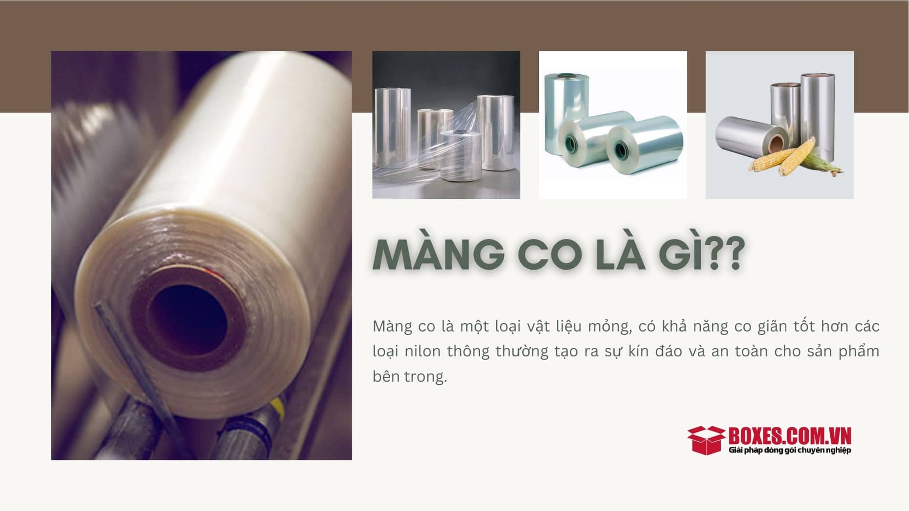 Tìm hiểu về màng co là gì?