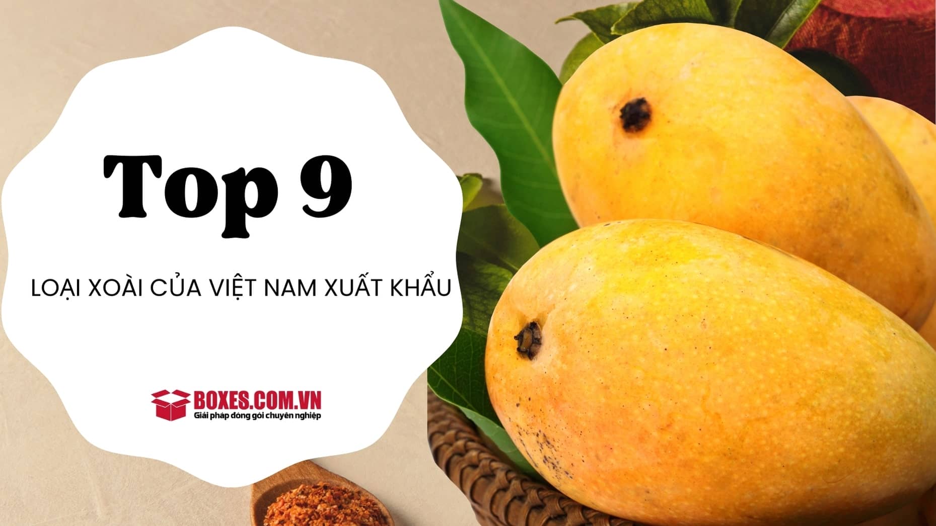 Top 9 loại xoài lọt top xoài tươi xuất khẩu của Việt Nam