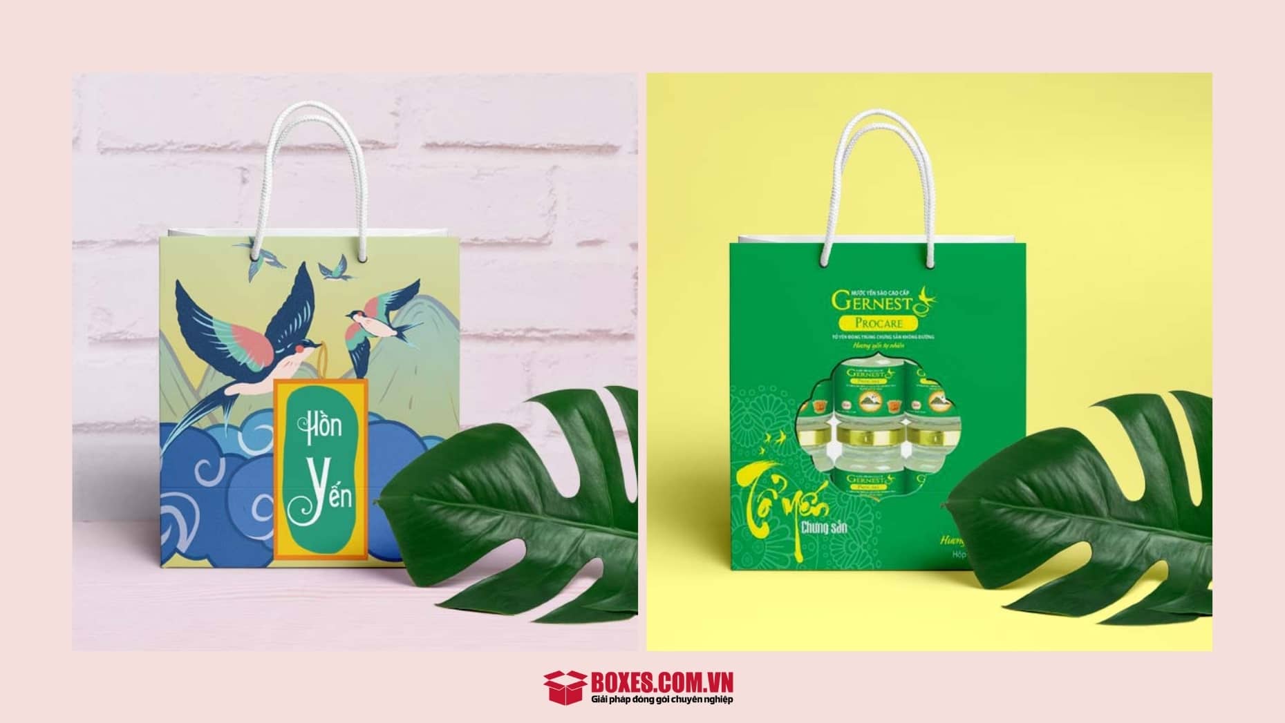 Túi giấy đựng yến sào nổi bật, độc đáo