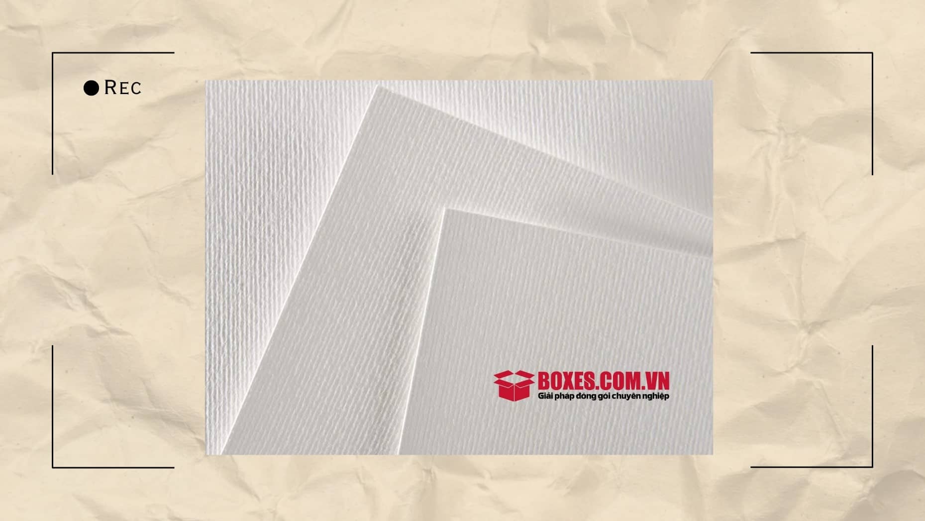 Với 3 loại giấy canson vân ngang