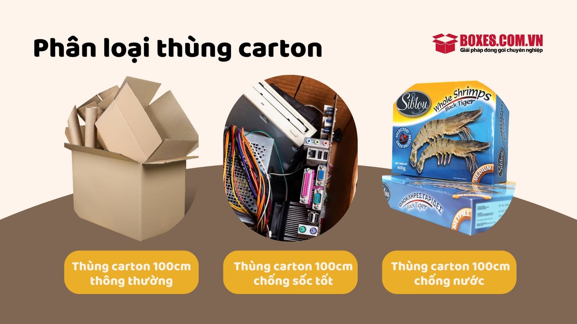 Ba loại thùng carton 100cm được sử dụng phổ biến nhất
