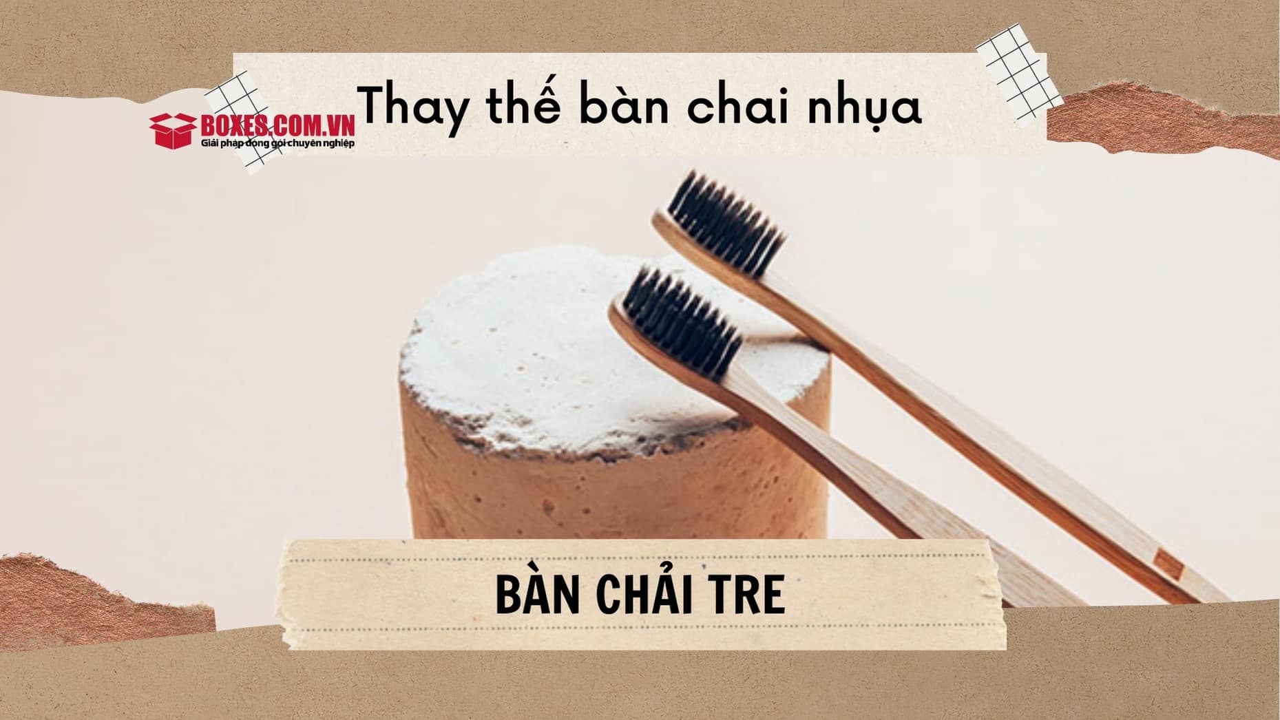 Bàn chải tre là một trong những vật dụng bảo vệ môi trường phổ biến