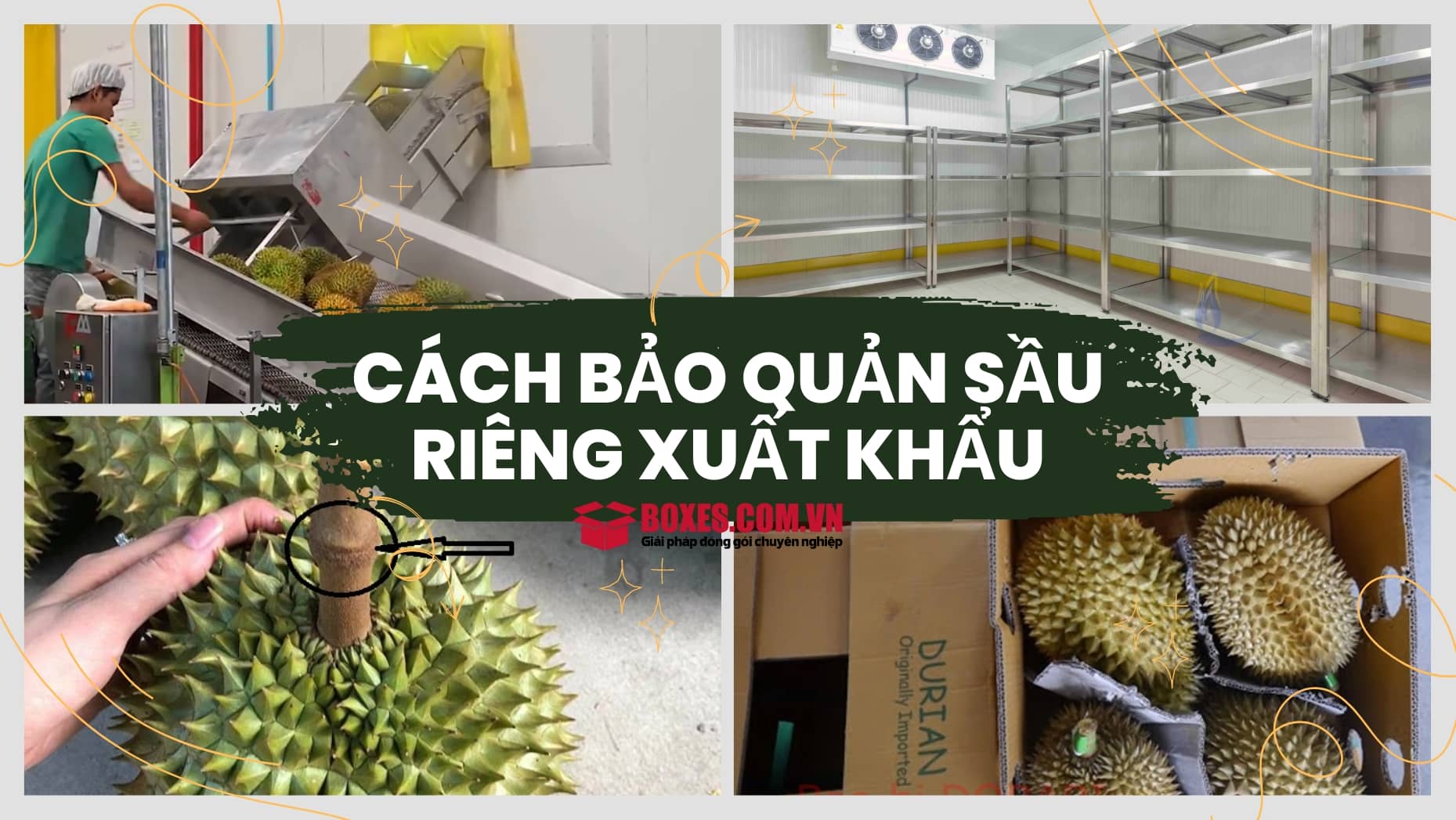 Cách bảo quản sầu riêng xuất khẩu