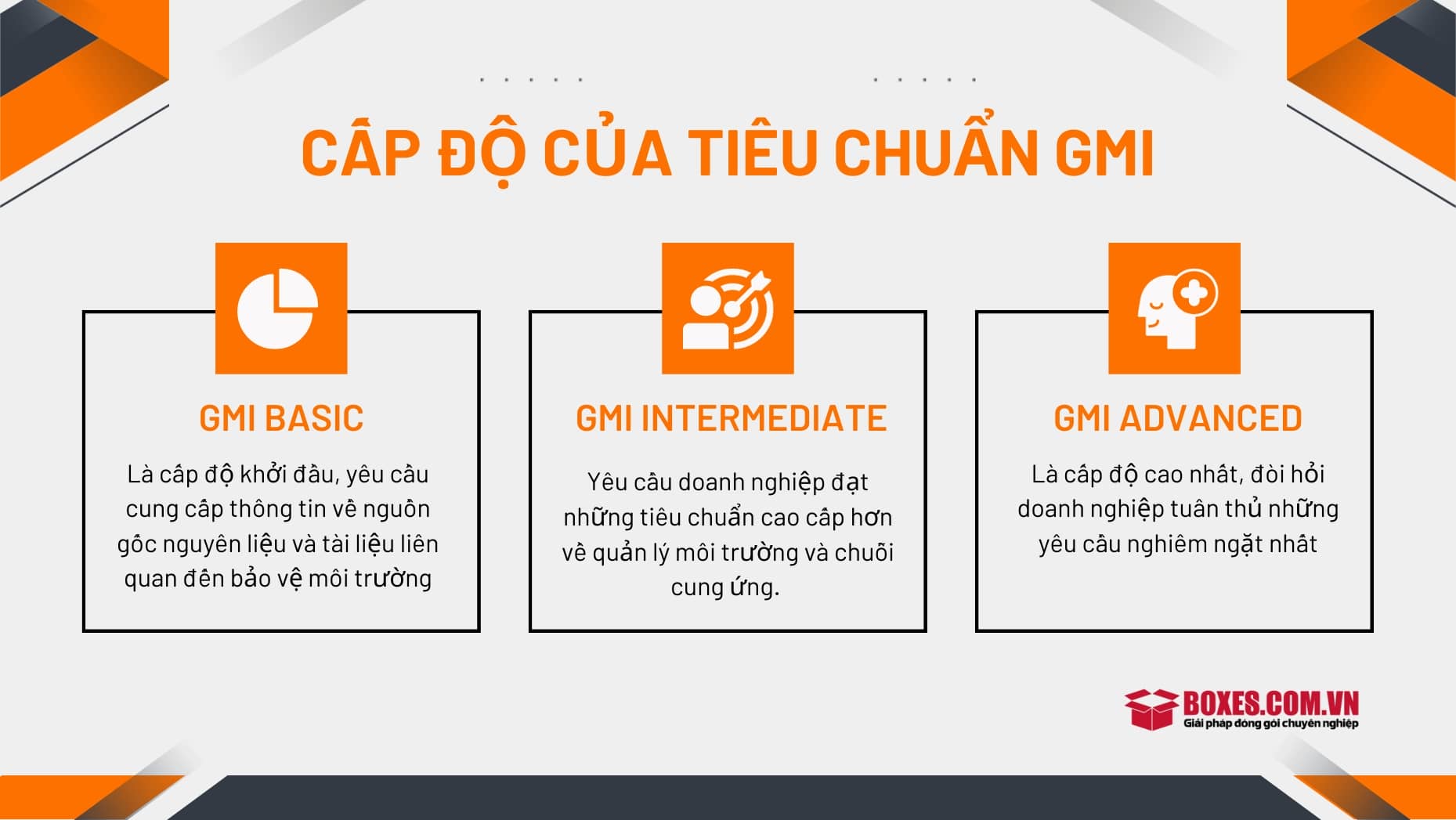 Cách phân chia 3 cấp độ khác nhau của tiêu chuẩn GMI
