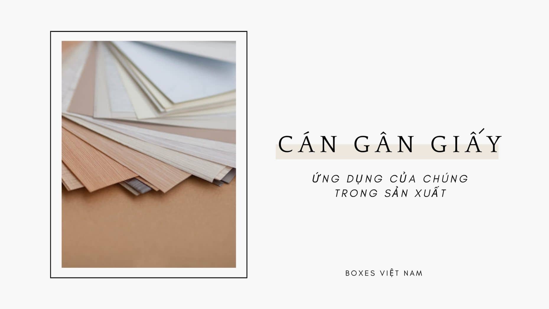 Cán gân giấy là gì? Ứng dụng của chúng trong sản xuất