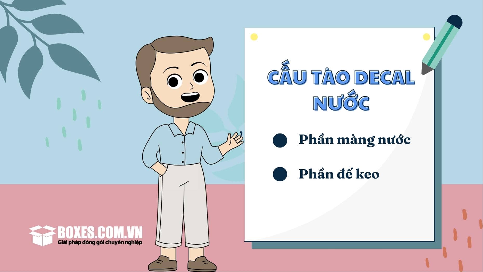 Cấu tạo của decal nước