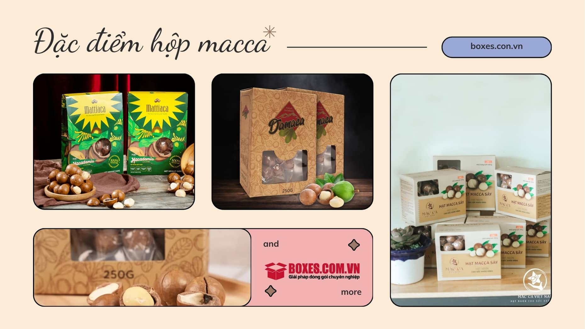 Cấu tạo của hộp giấy đựng macca